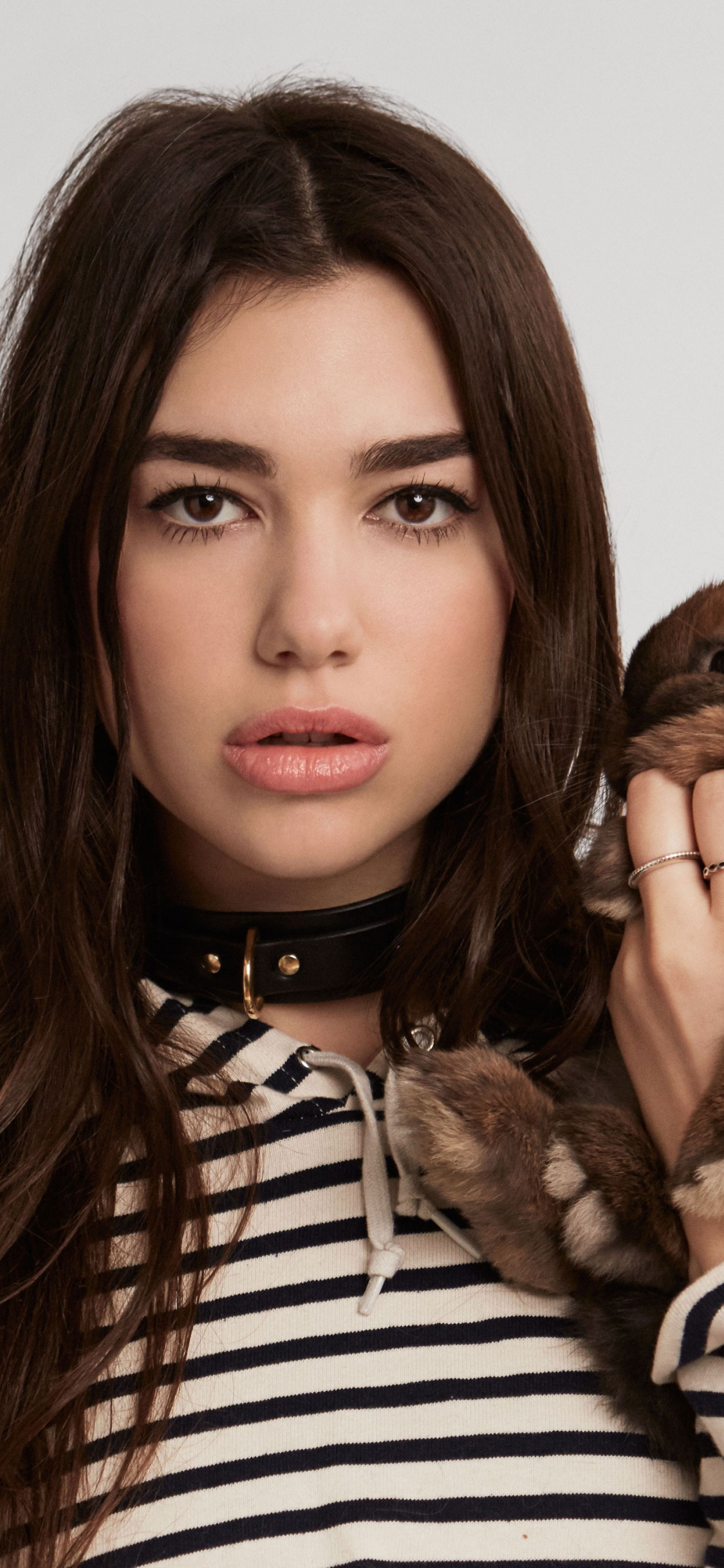 Dua Lipa 2019 Portrait Wallpapers