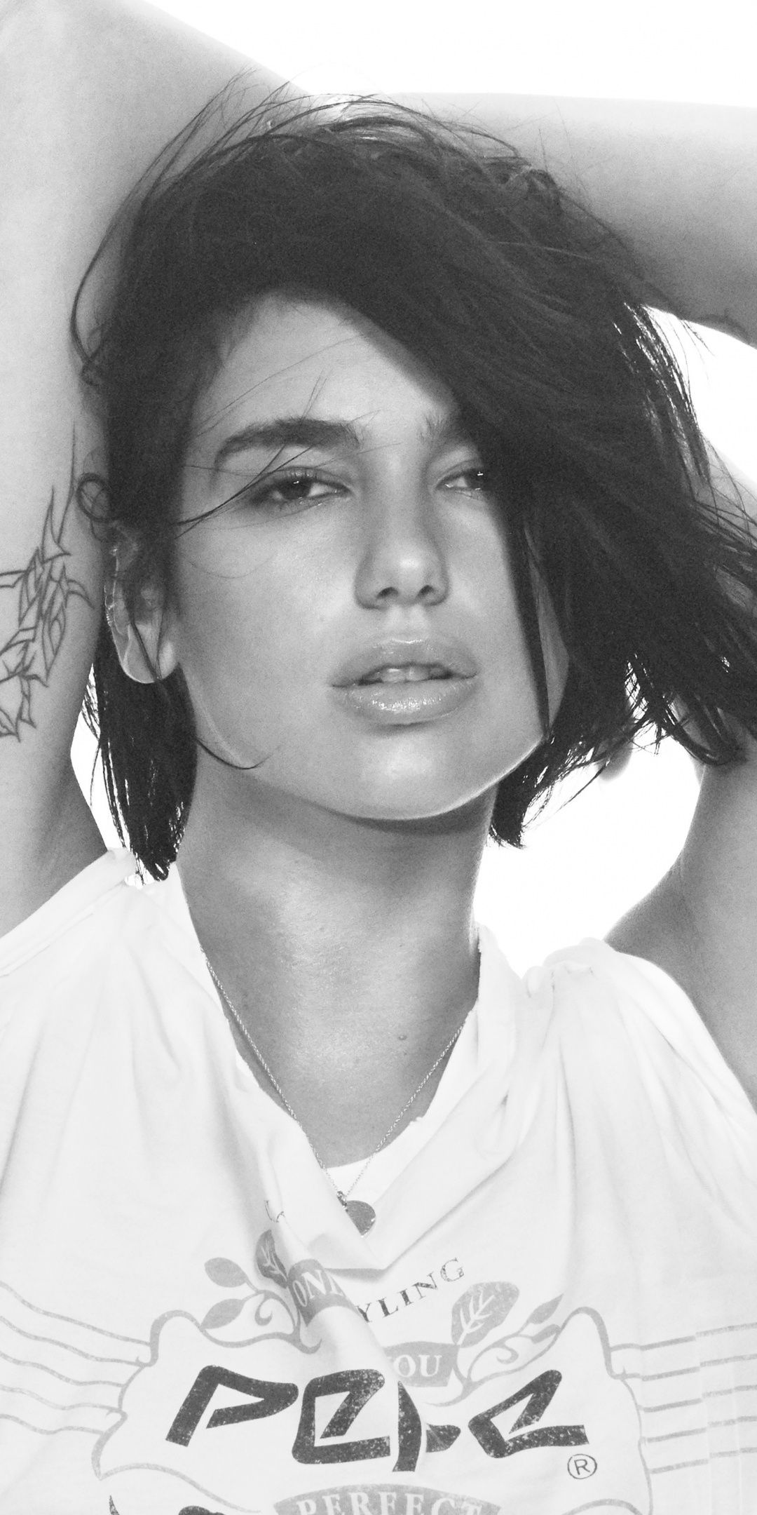 Dua Lipa 2019 Portrait Wallpapers