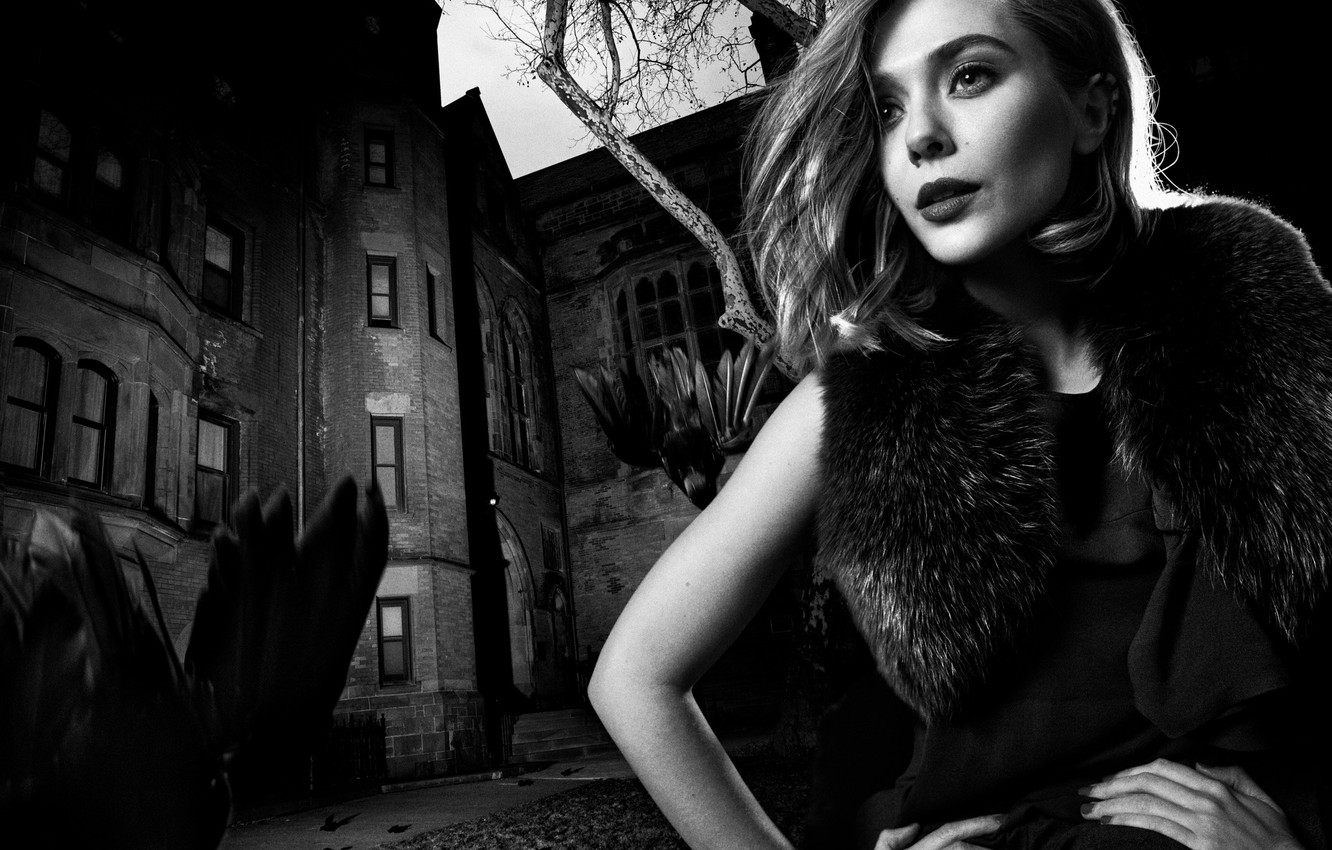 Elizabeth Olsen Beautiful Monochrome Wallpapers