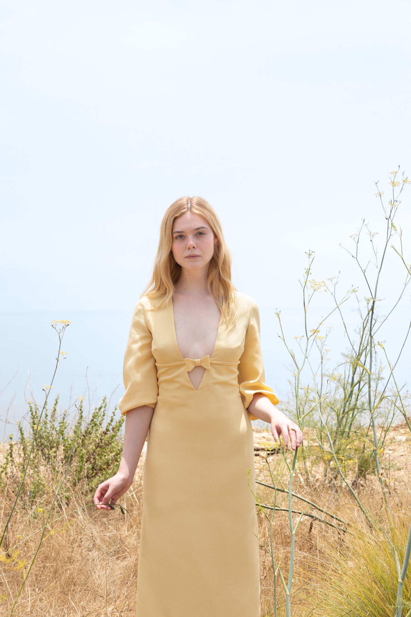 Elle Fanning 2020 Beautiful Wallpapers