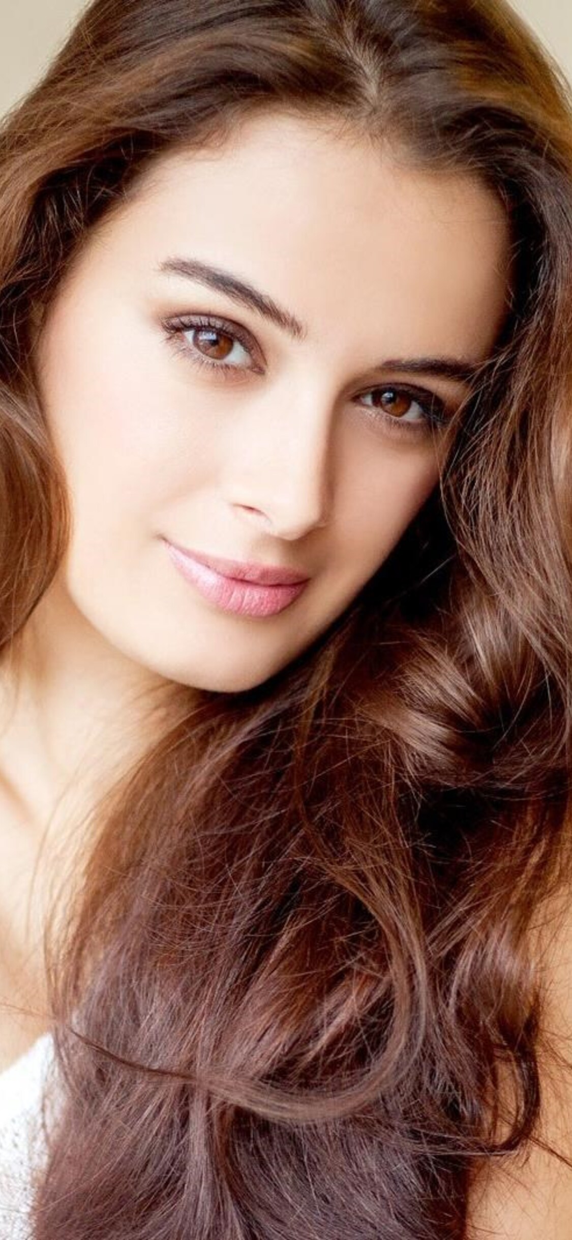 Evelyn Sharma Wallpapers