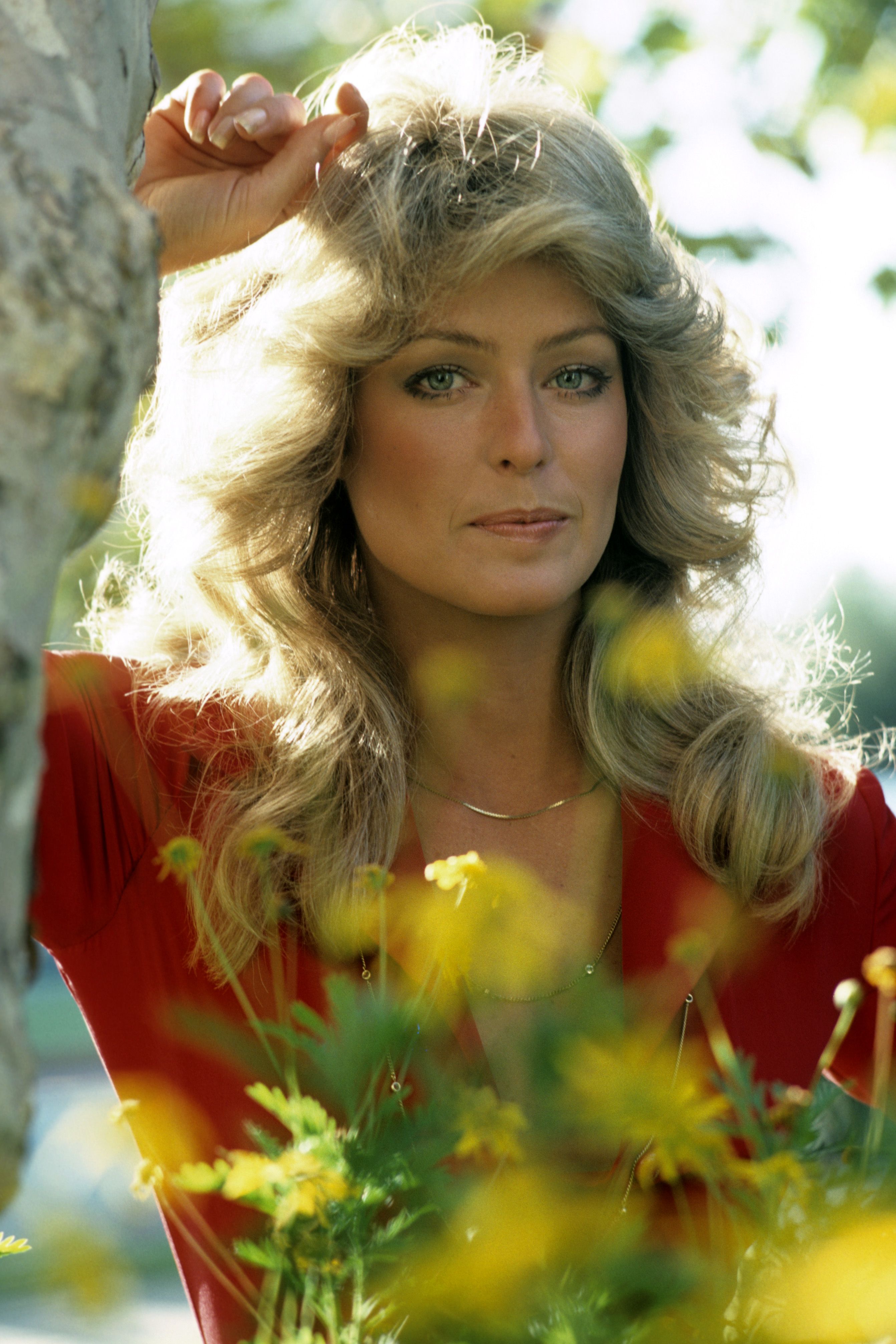 Farrah Fawcett Wallpapers