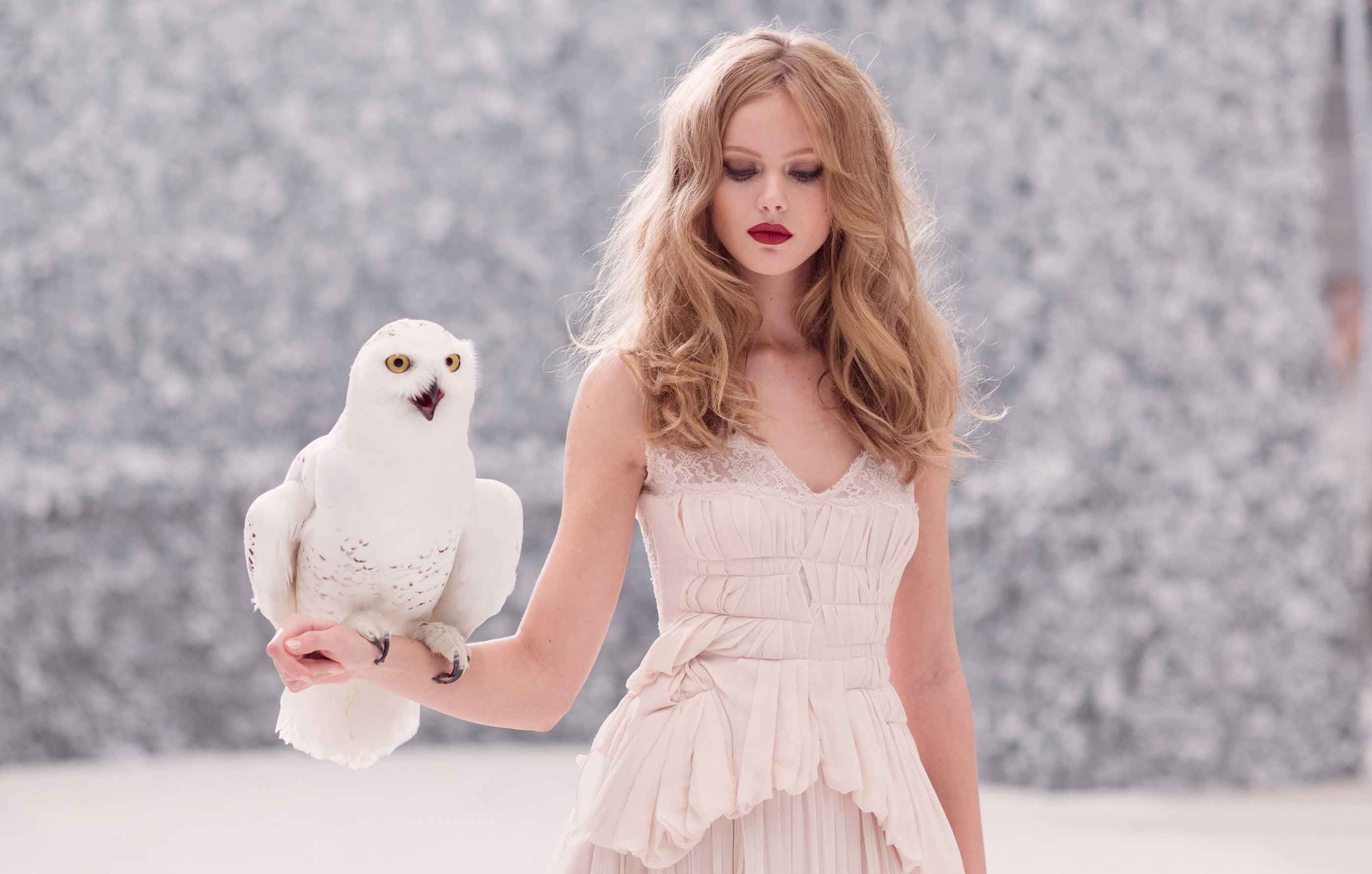 Frida Gustavsson Wallpapers