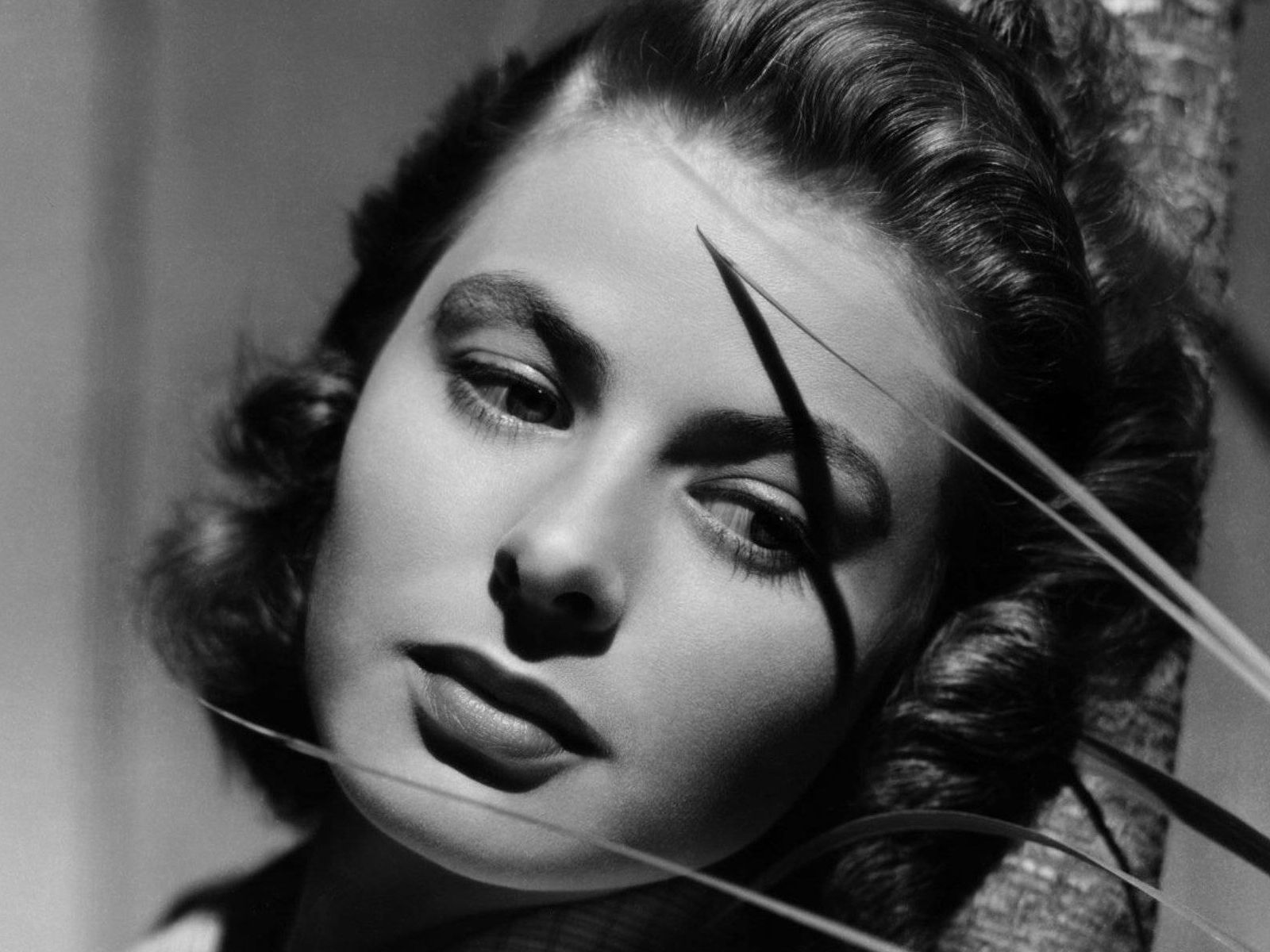 Ingrid Bergman Wallpapers