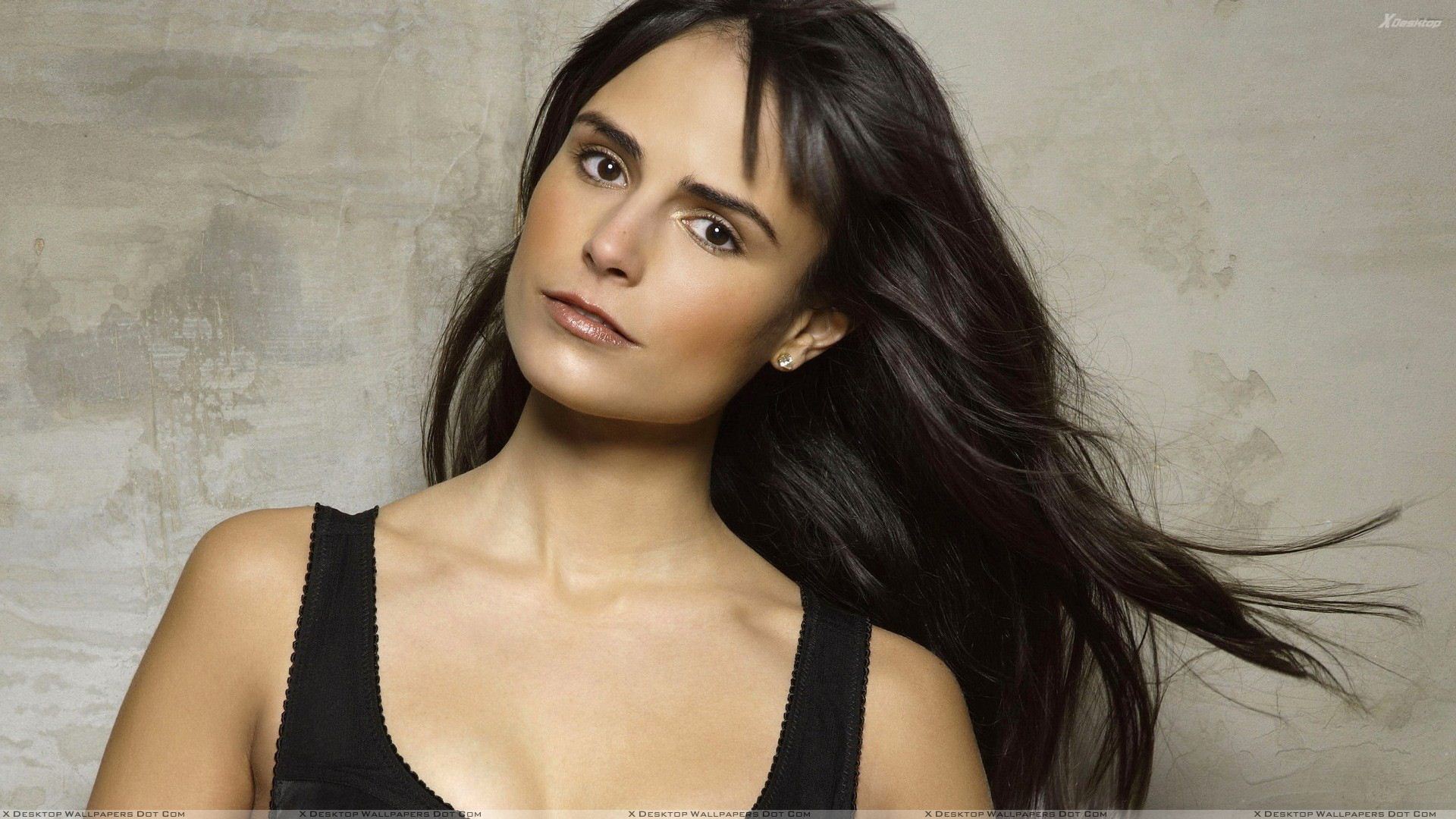 Jordana Brewster Wallpapers