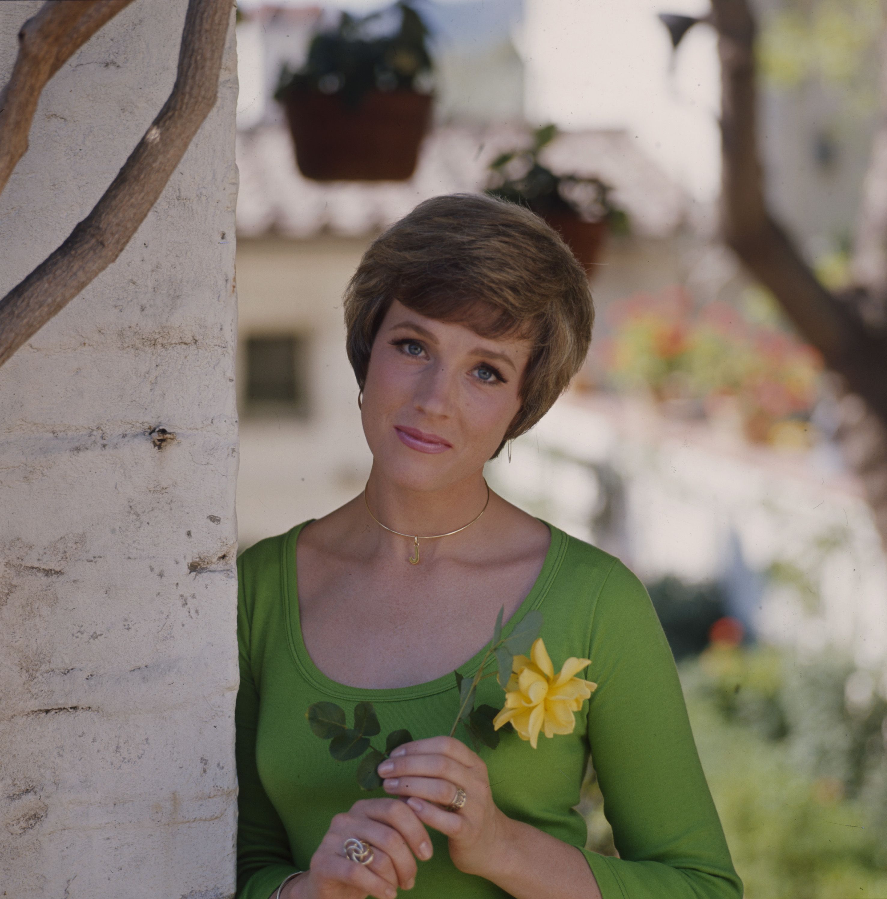 Julie Andrews Wallpapers