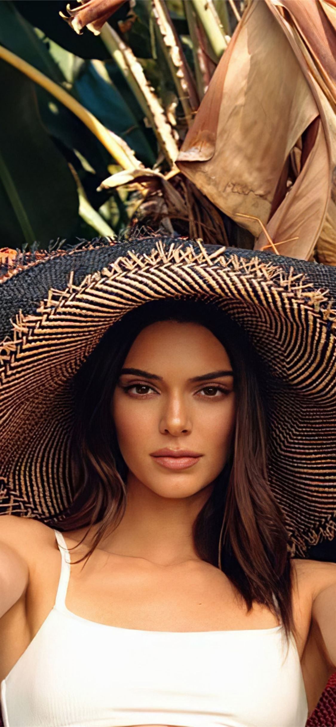 Kendall Jenner Model 2020 Wallpapers