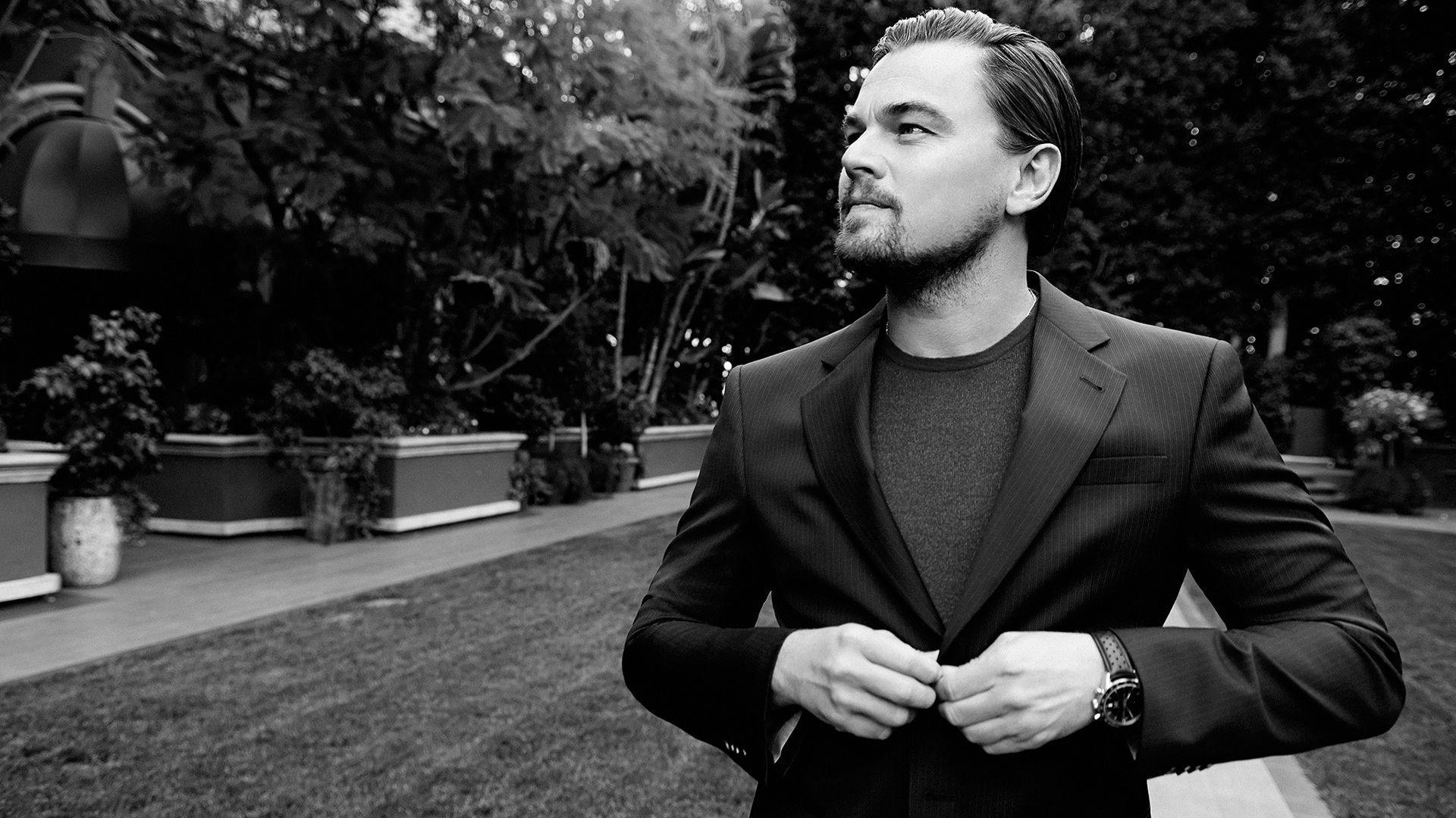 Leonardo Dicaprio Monochrome Wallpapers