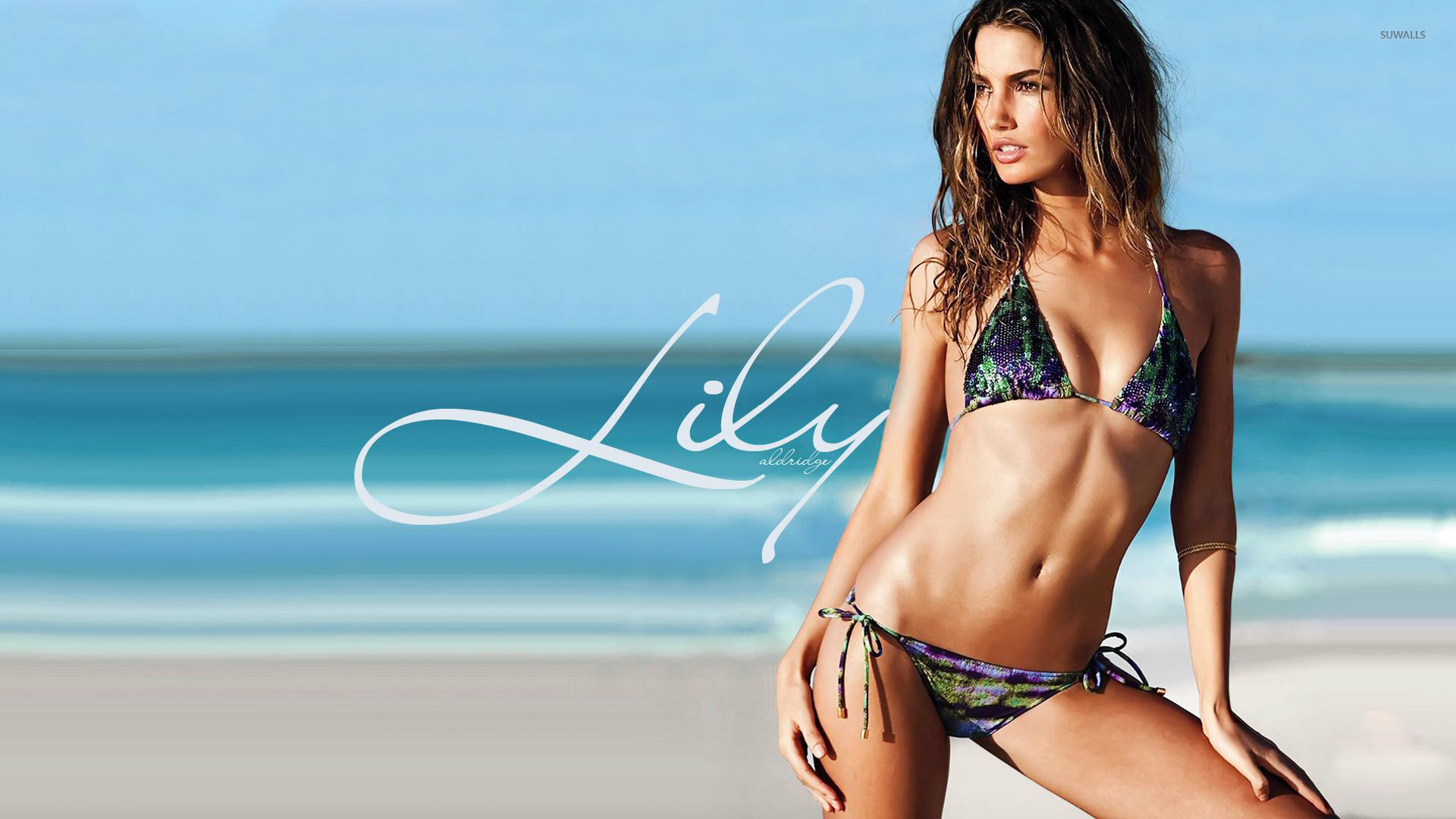 Lily Aldridge Wallpapers