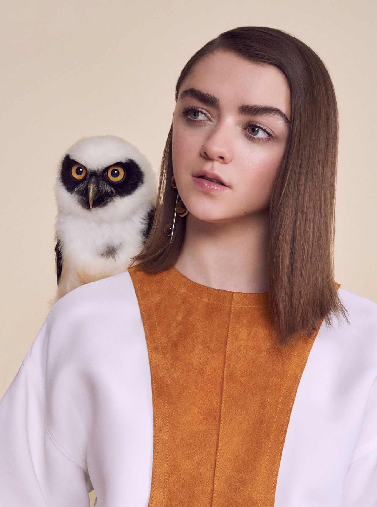 Maisie Williams Photoshoot with Owl Wallpapers