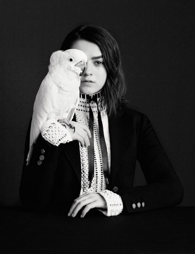 Maisie Williams Photoshoot with Owl Wallpapers