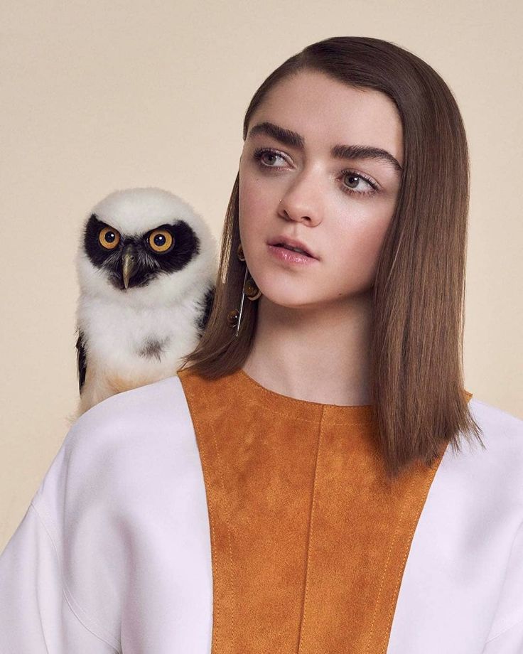 Maisie Williams with Owl Wallpapers