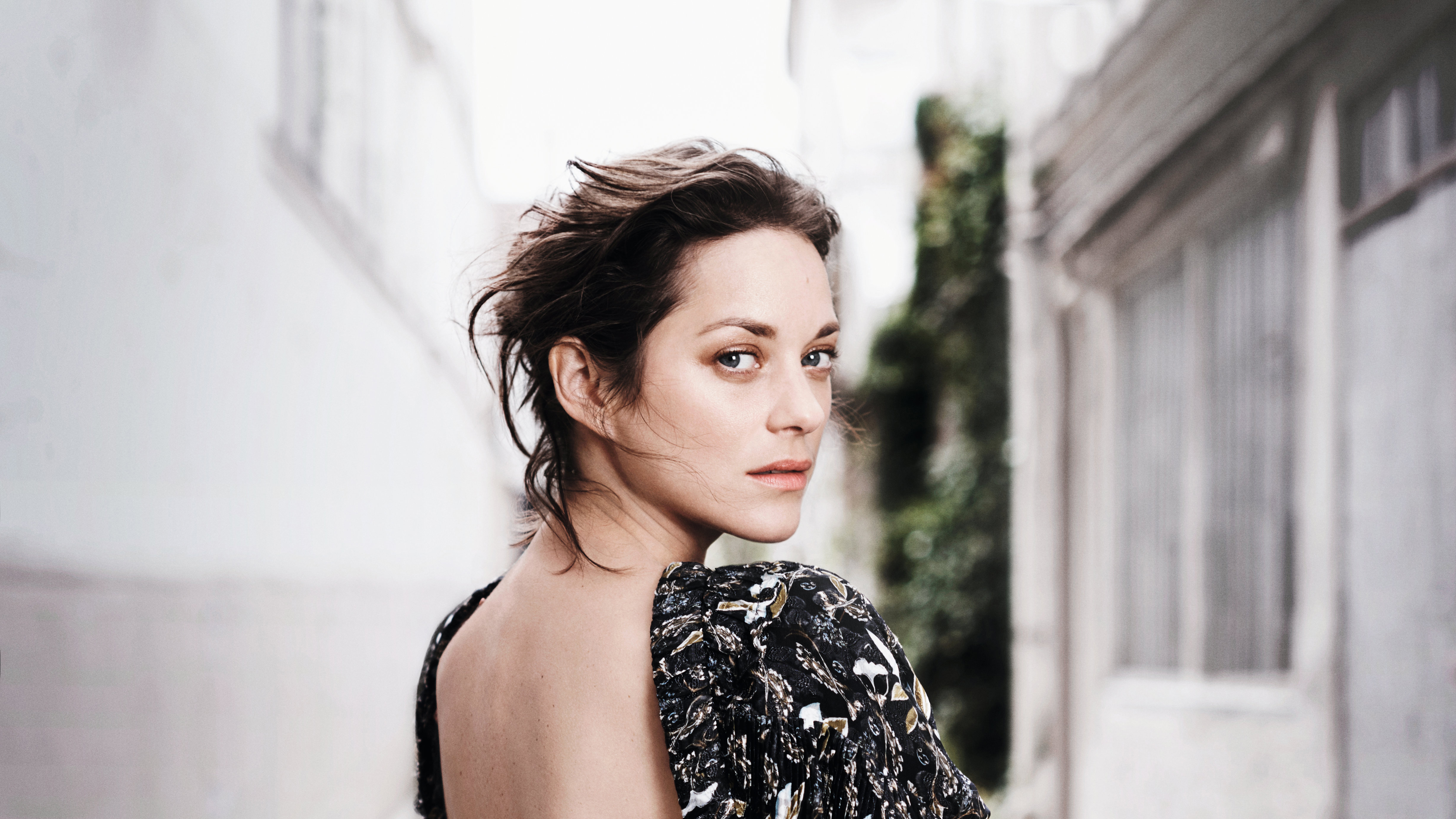 Marion Cotillard Wallpapers