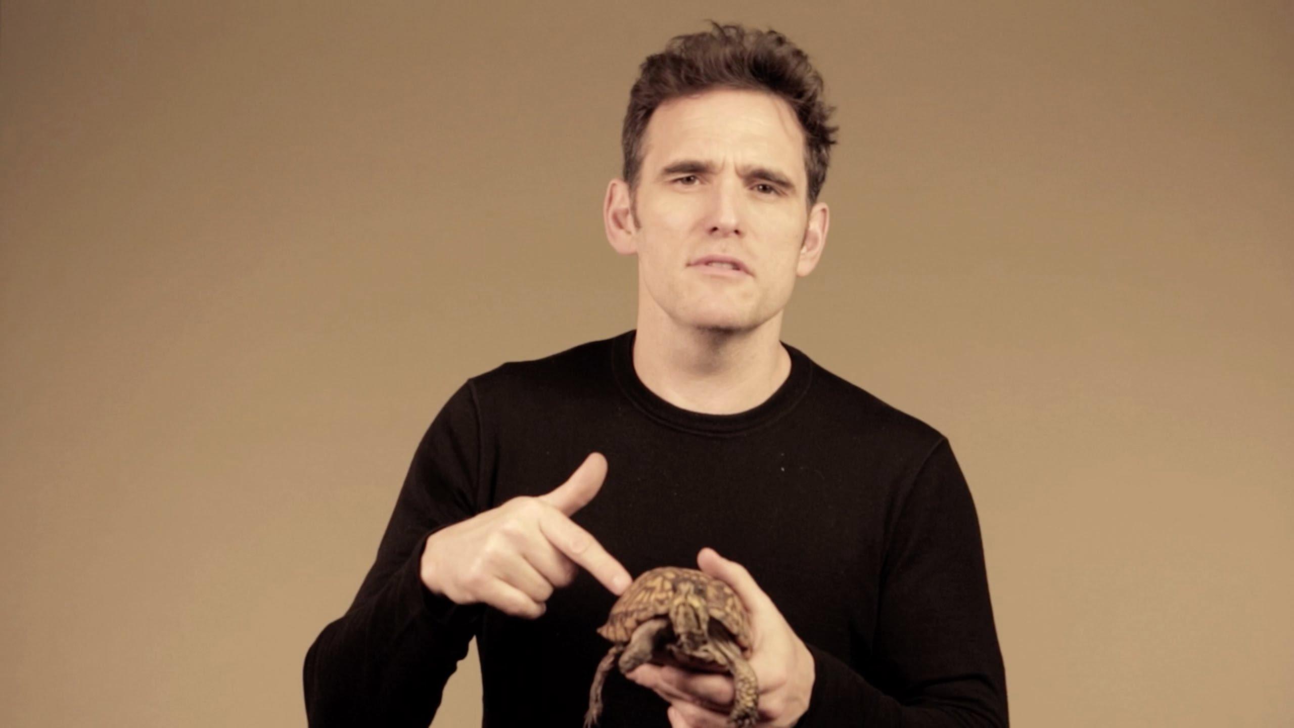 Matt Dillon Wallpapers