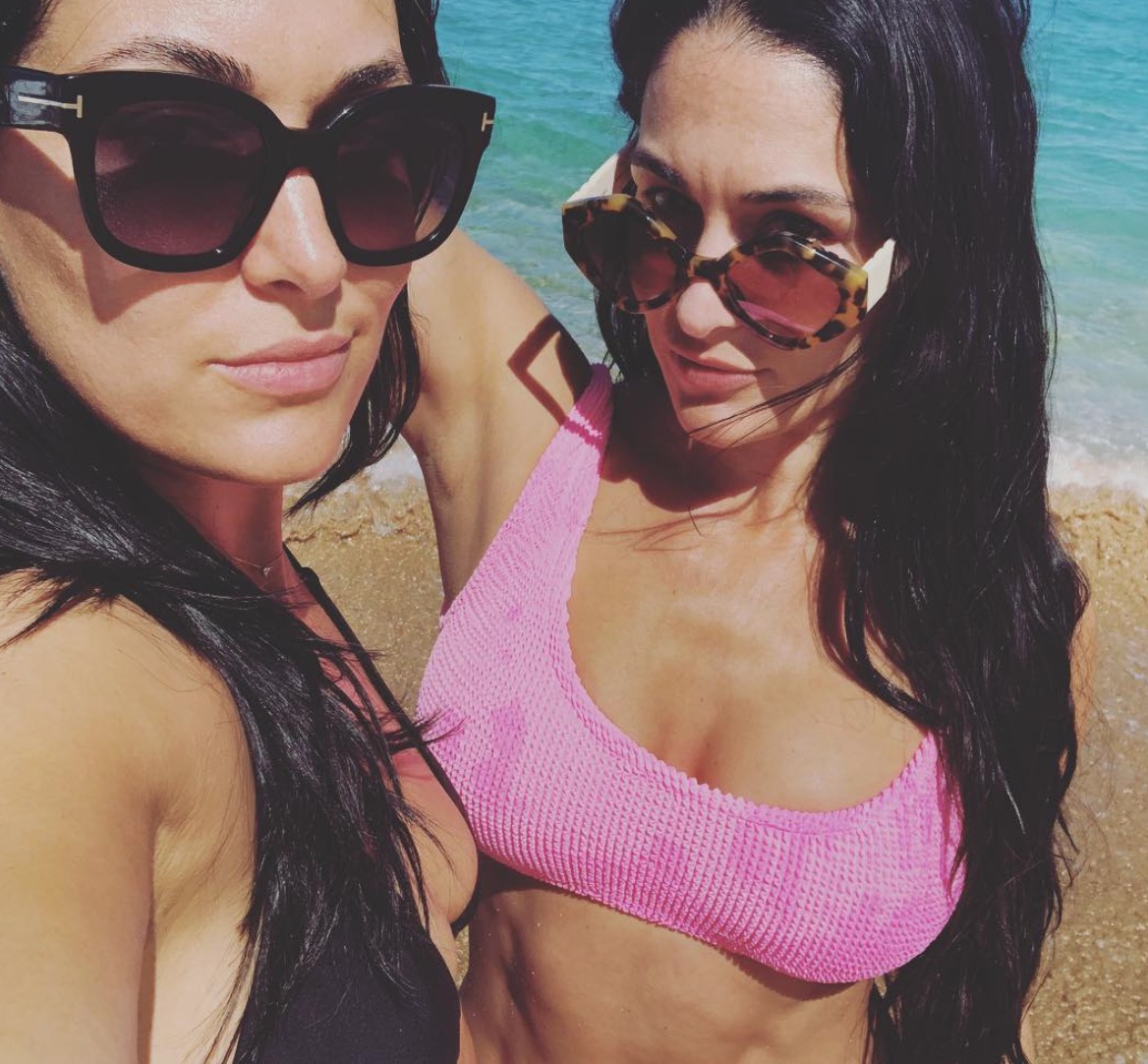 Nikki Bella in Bikini Wallpapers