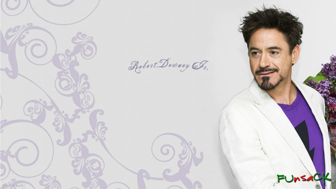 Robert Downey Jr Wallpapers