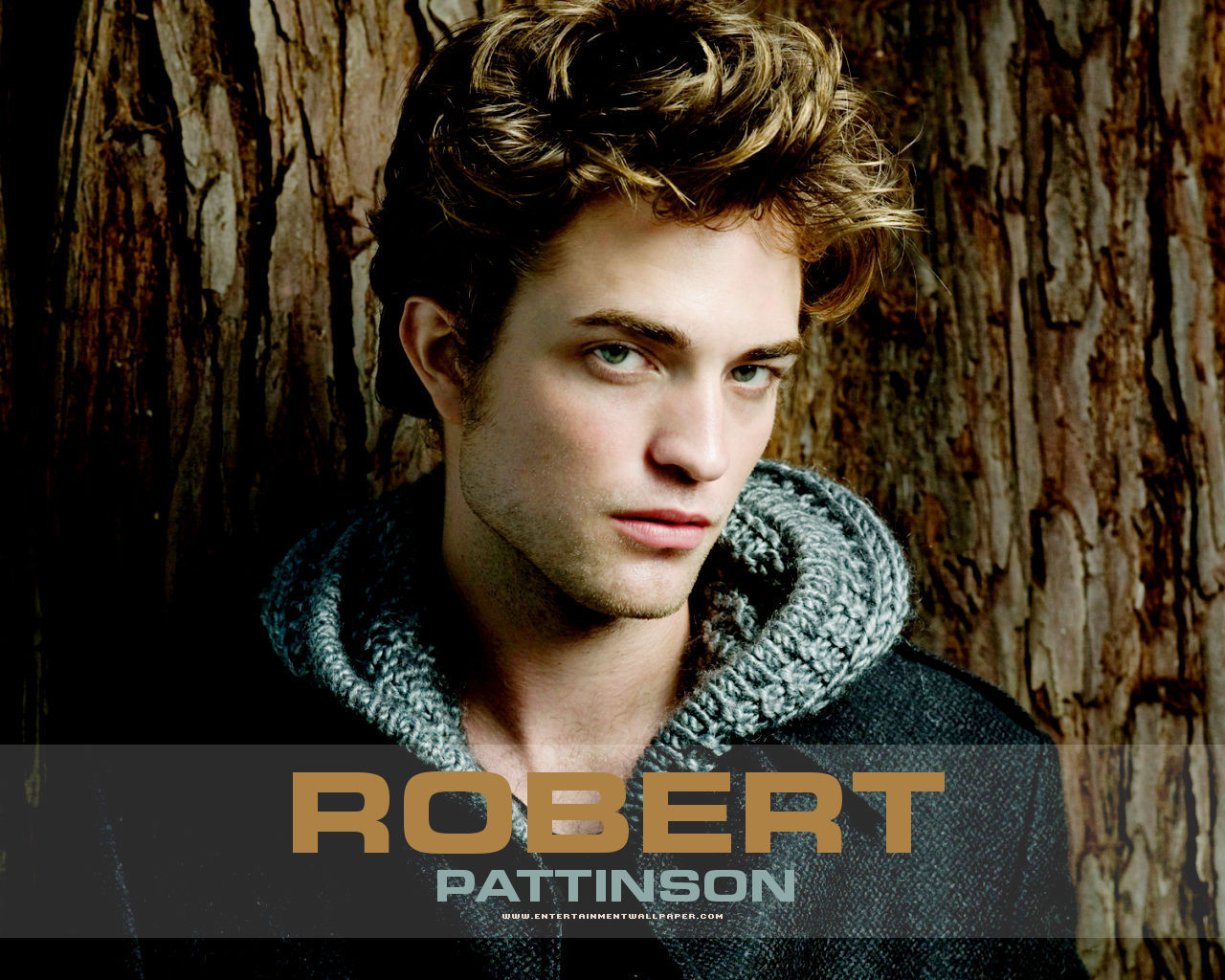 Robert Pattinson Wallpapers