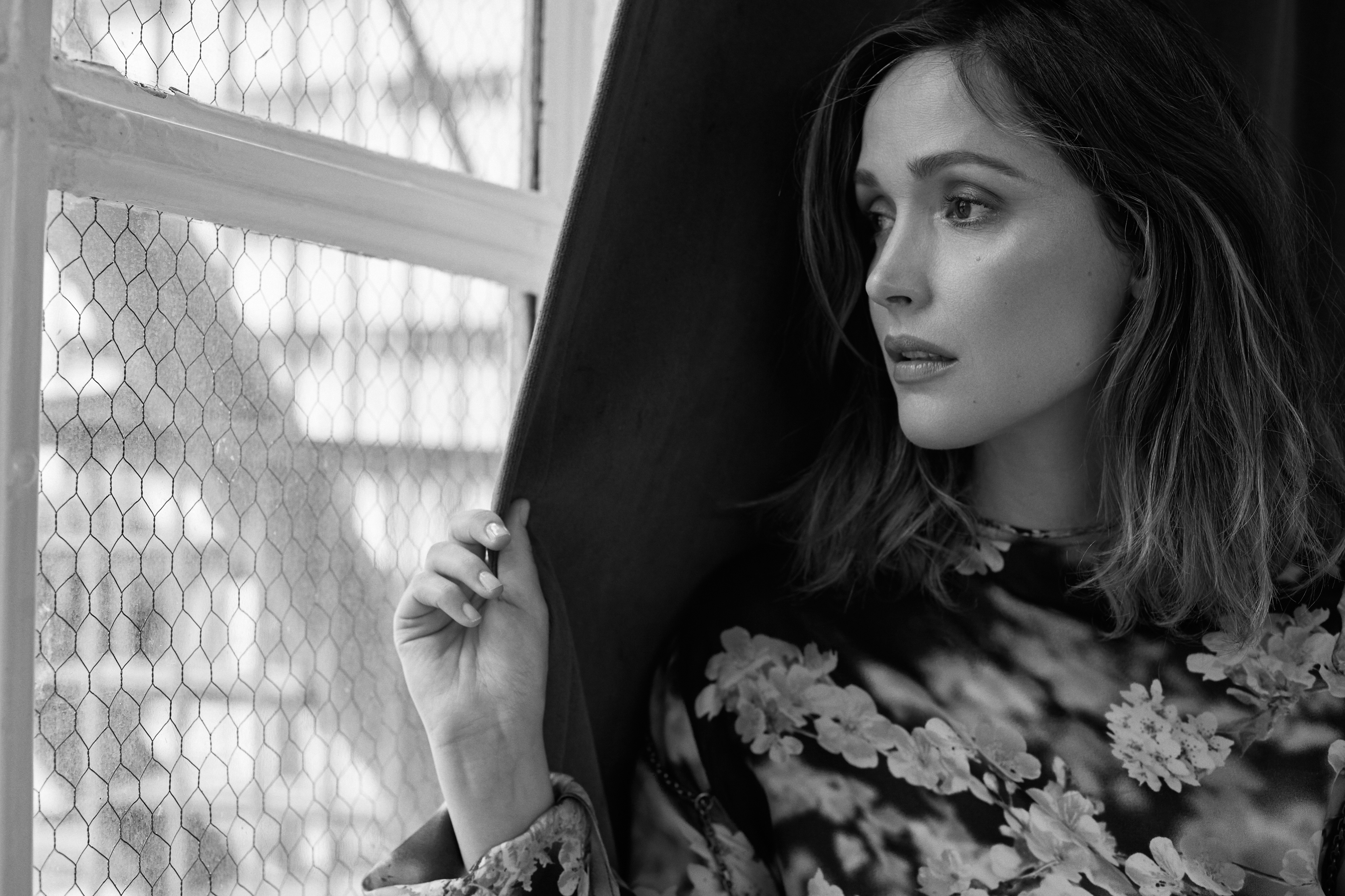 Rose Byrne Wallpapers