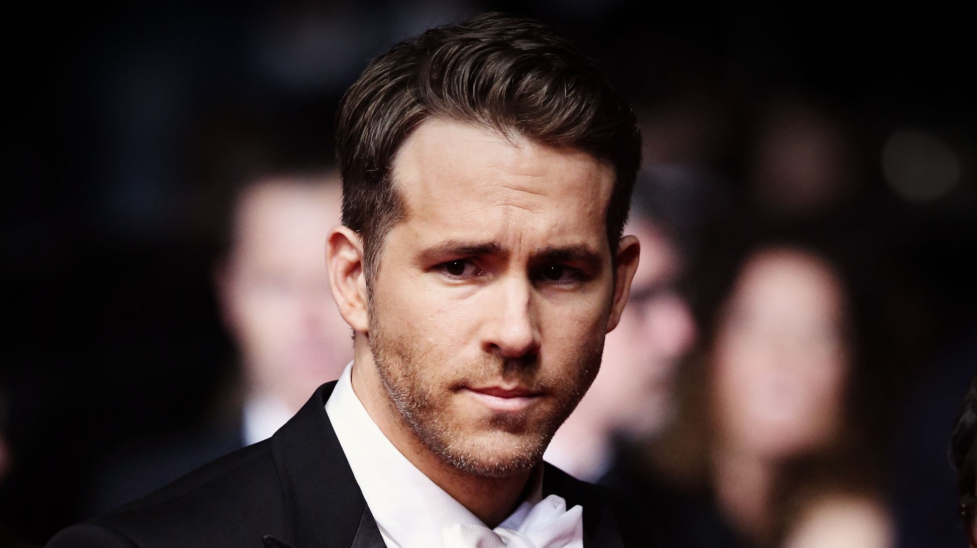 Ryan Reynolds Portrait Photoshoot Wallpapers