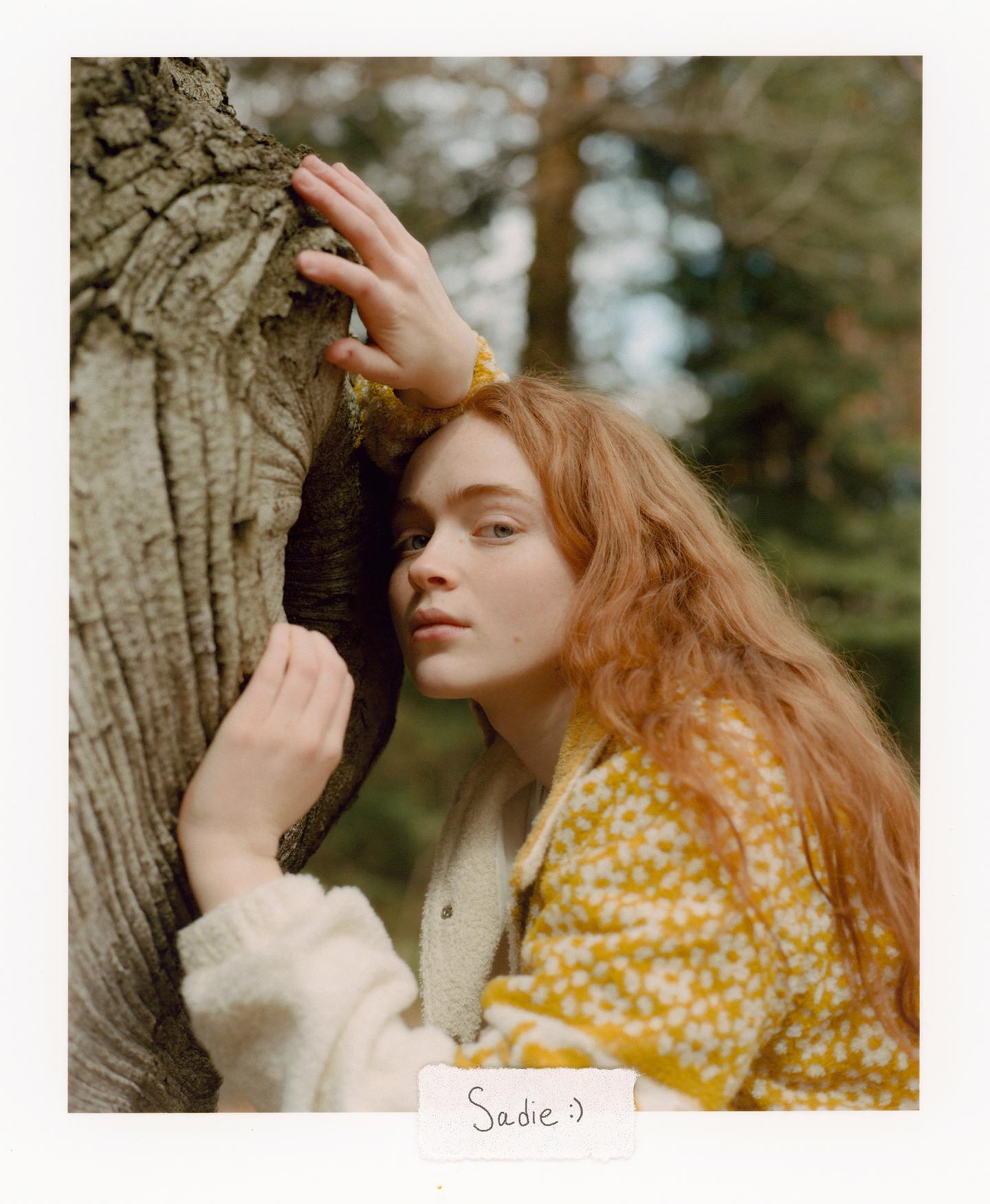 Sadie Sink Wallpapers