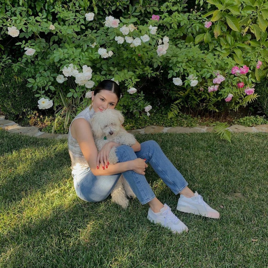 Selena Gomez with Dog Wallpapers