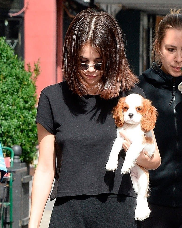 Selena Gomez with Dog Wallpapers