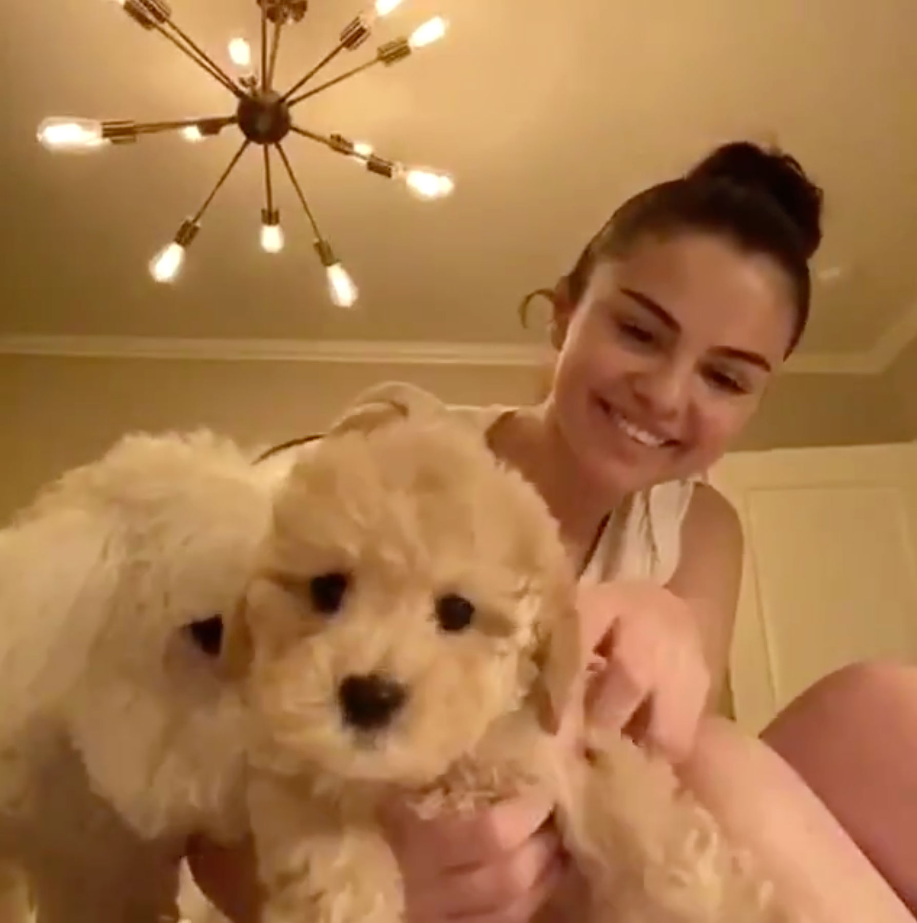 Selena Gomez with Dog Wallpapers