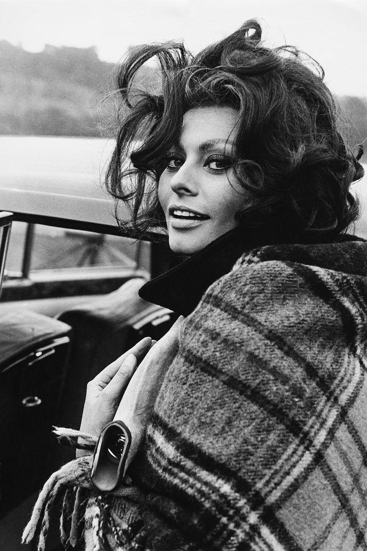 Sophia Loren Wallpapers