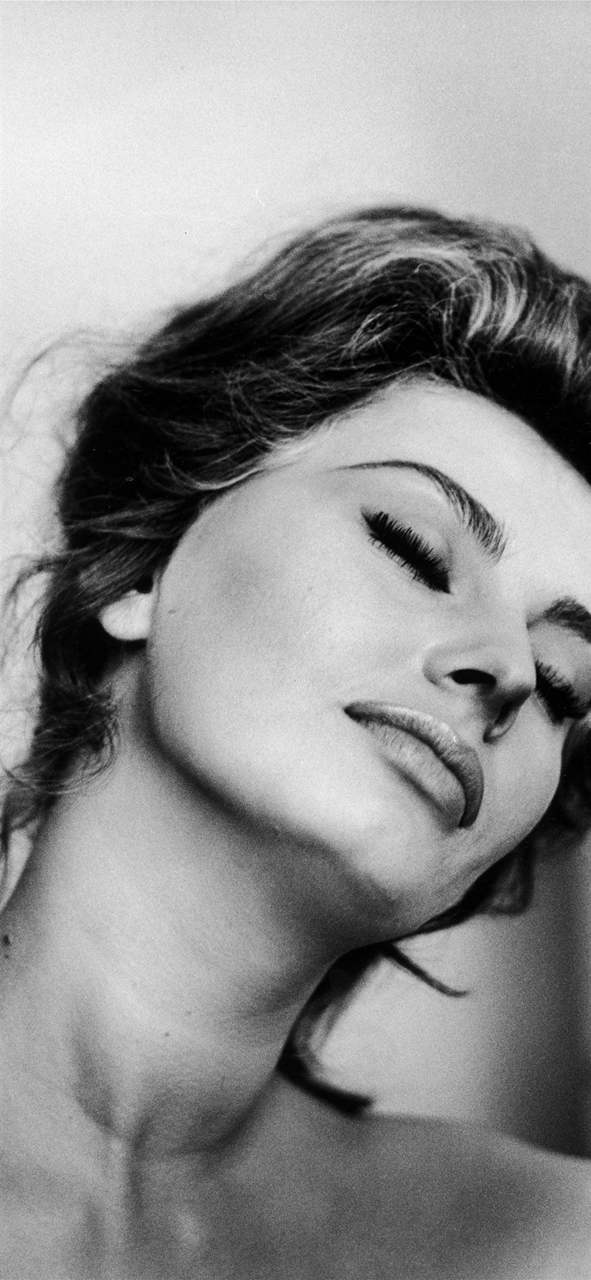 Sophia Loren Wallpapers