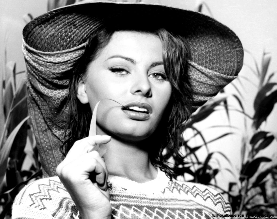 Sophia Loren Wallpapers