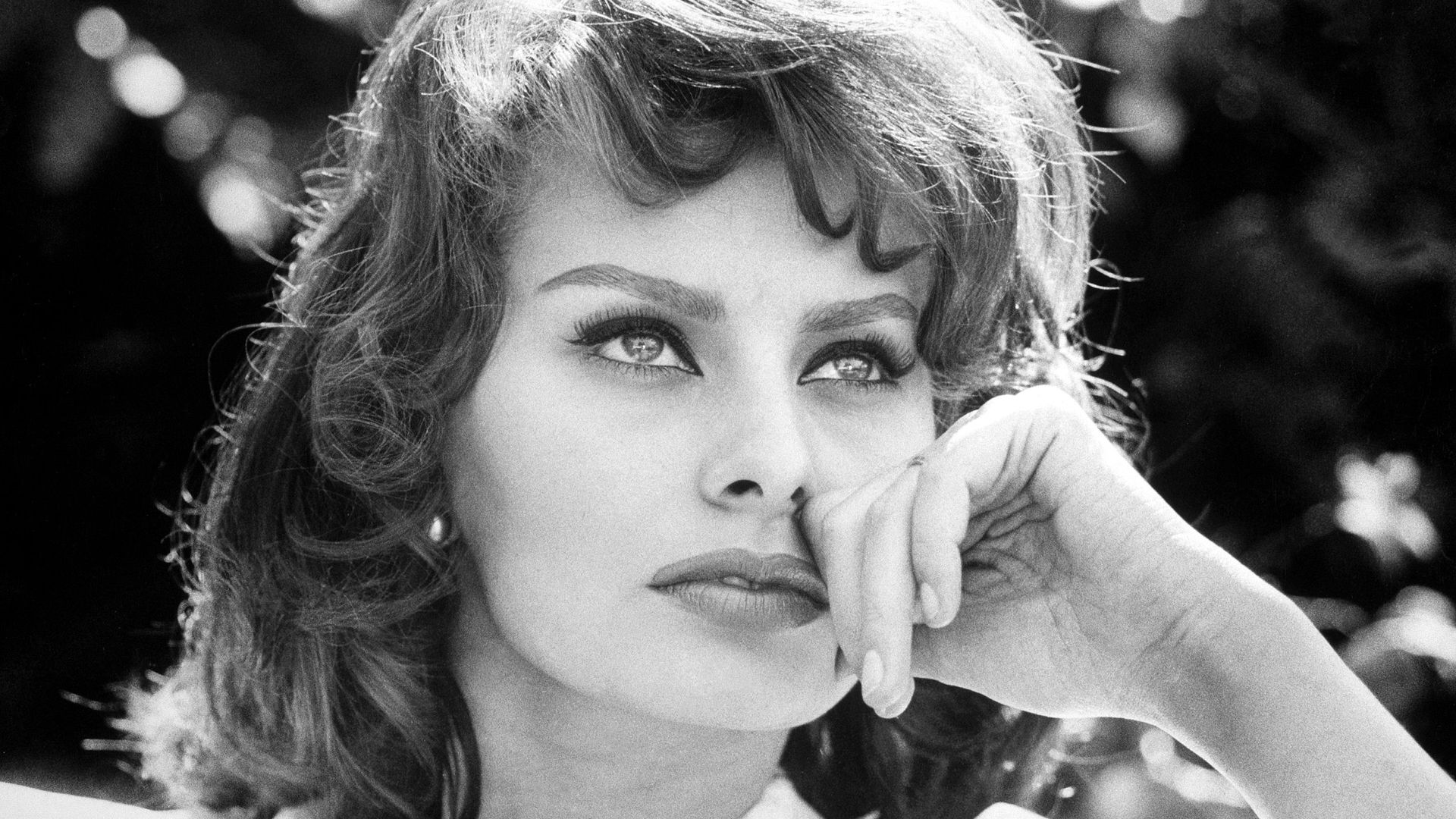 Sophia Loren Wallpapers