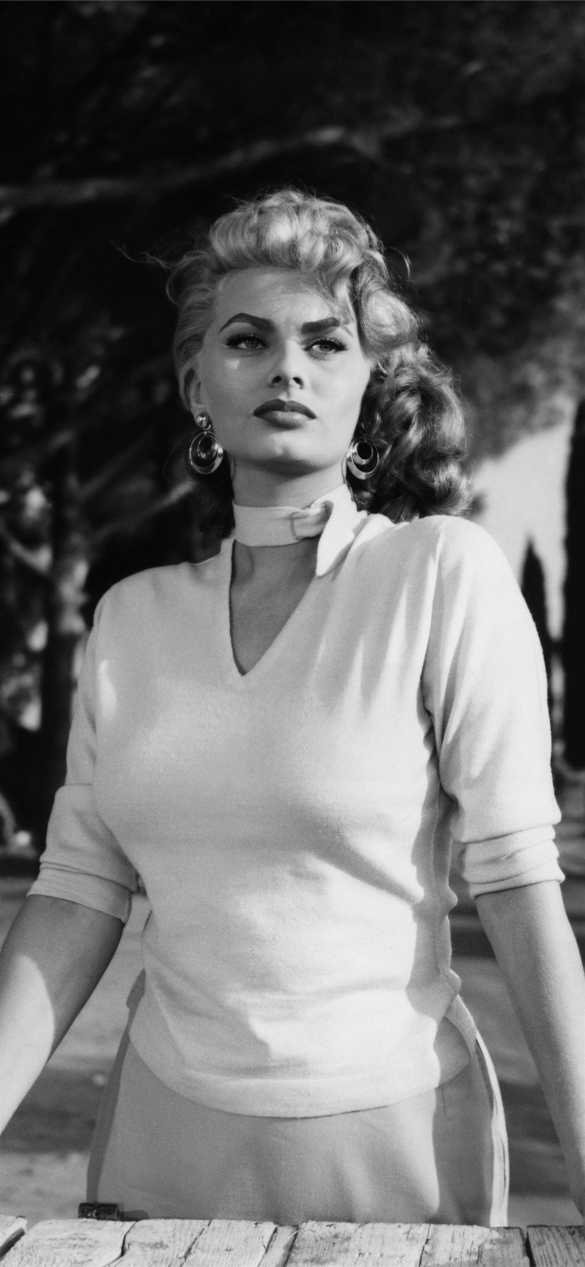 Sophia Loren Wallpapers