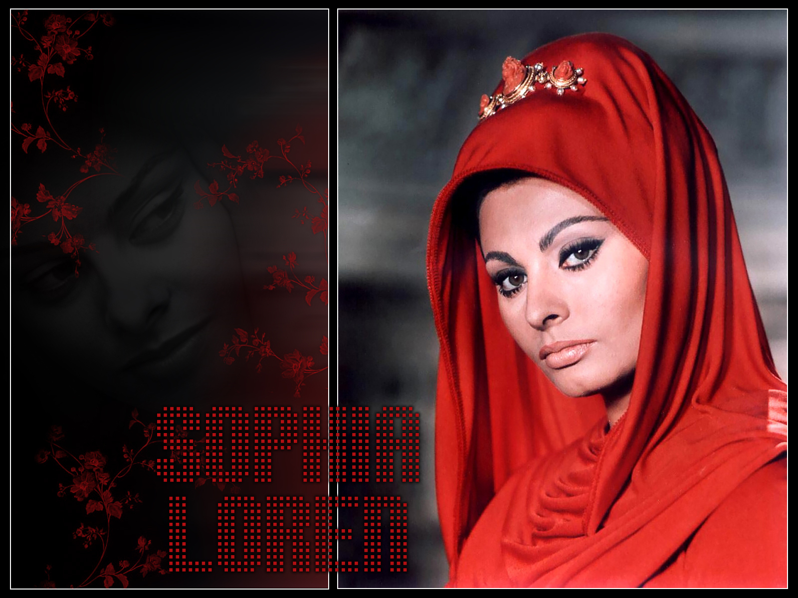 Sophia Loren Wallpapers