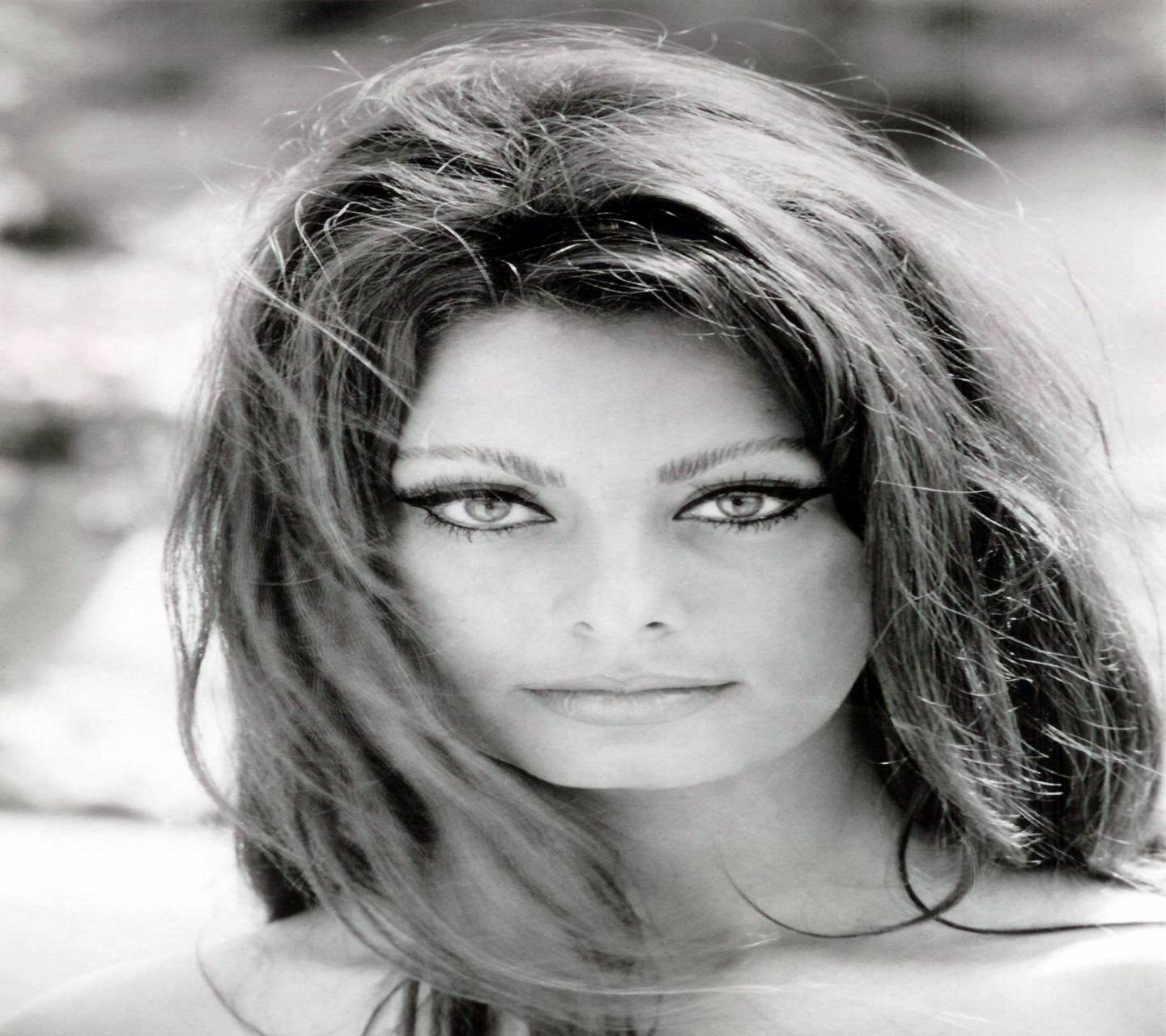 Sophia Loren Wallpapers