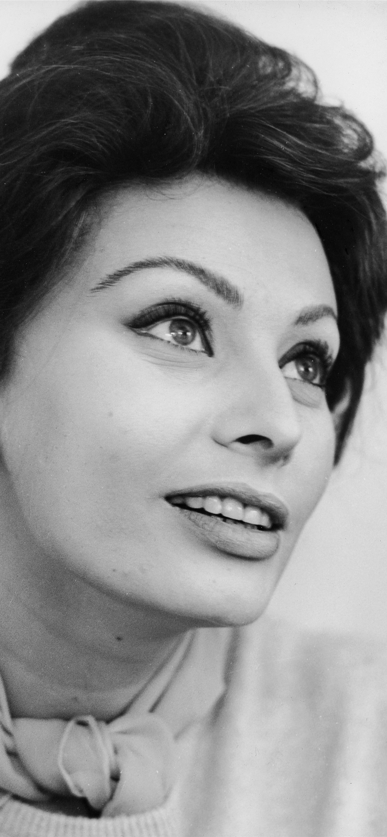 Sophia Loren Wallpapers