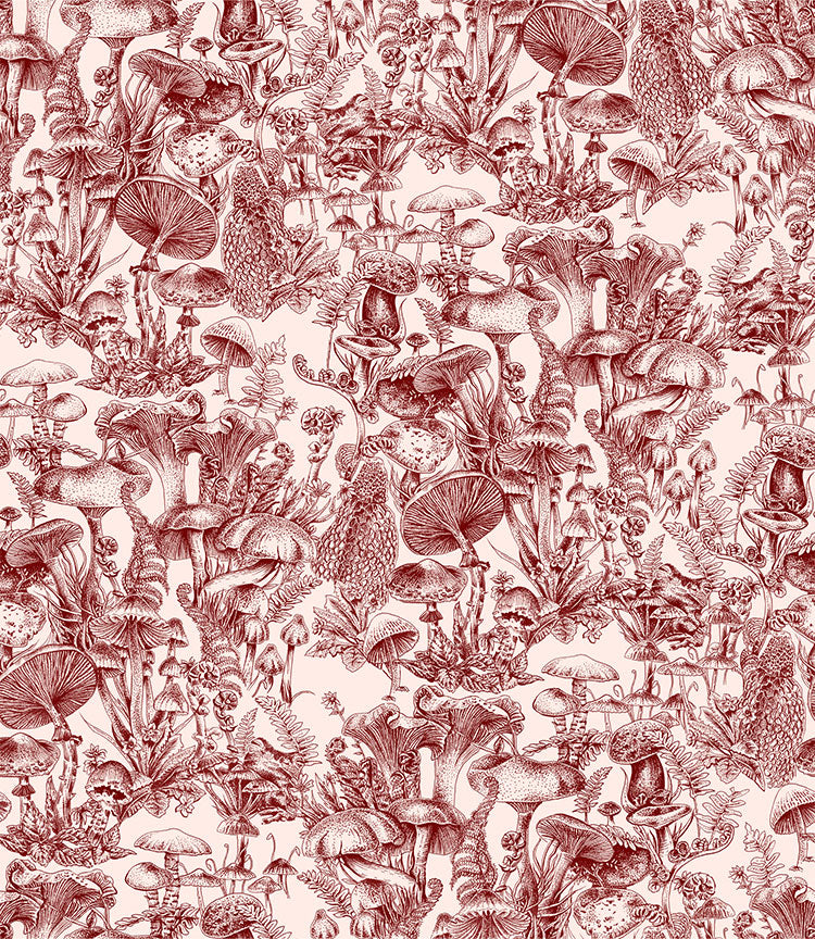 Stella Mccartney Wallpapers