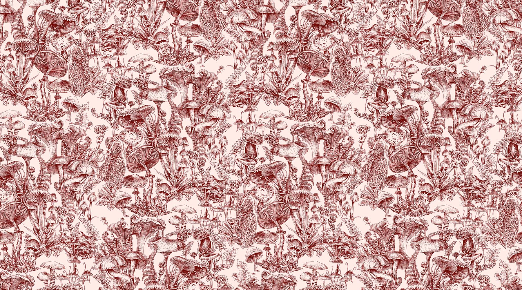 Stella Mccartney Wallpapers