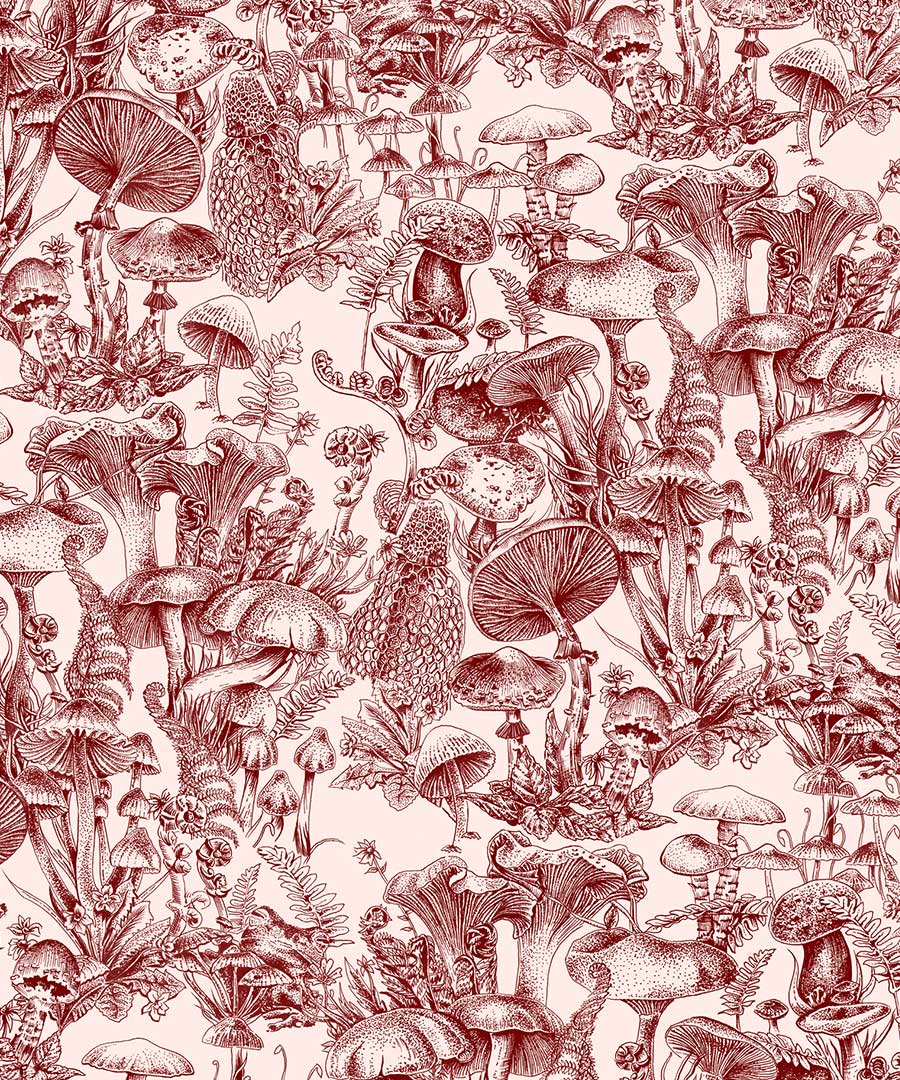 Stella Mccartney Wallpapers