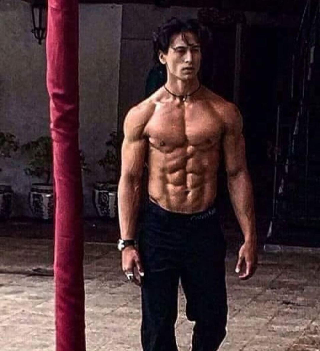 Tiger Shroff Body Photoshoot Wallpapers