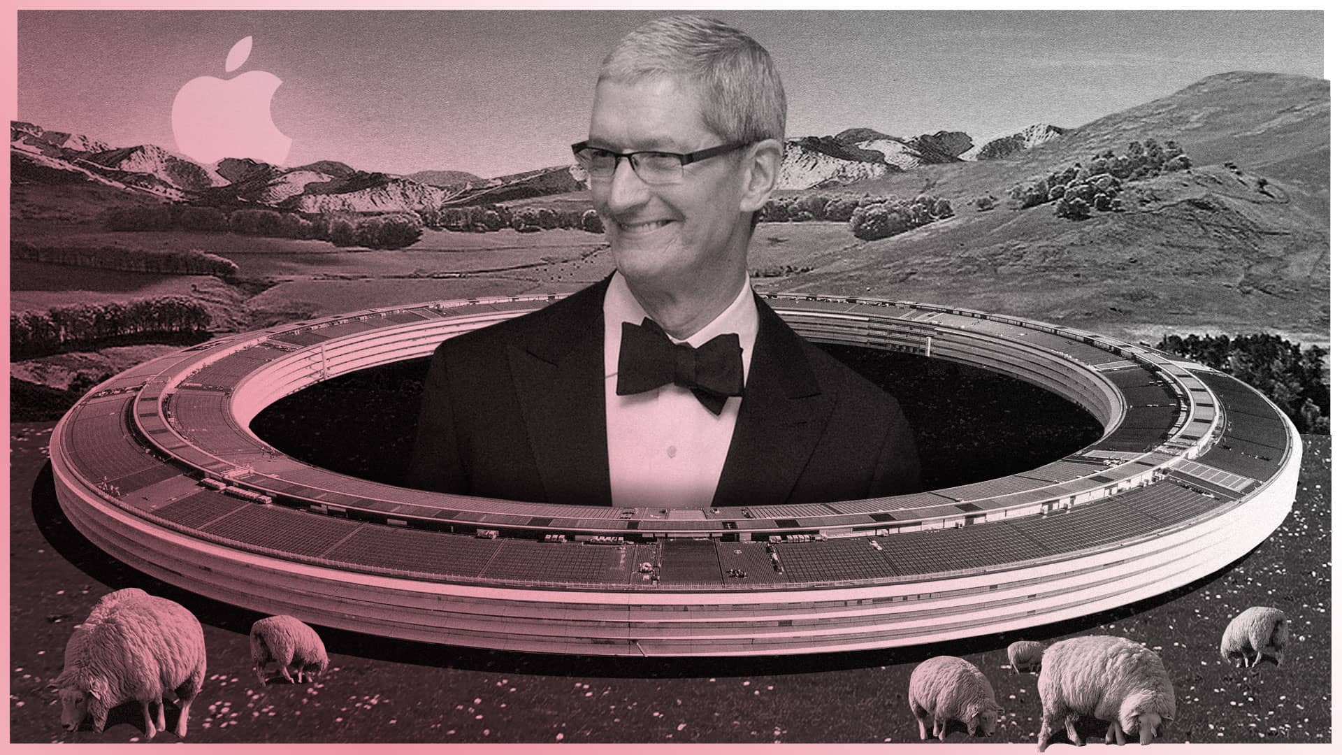 Tim Cook Wallpapers