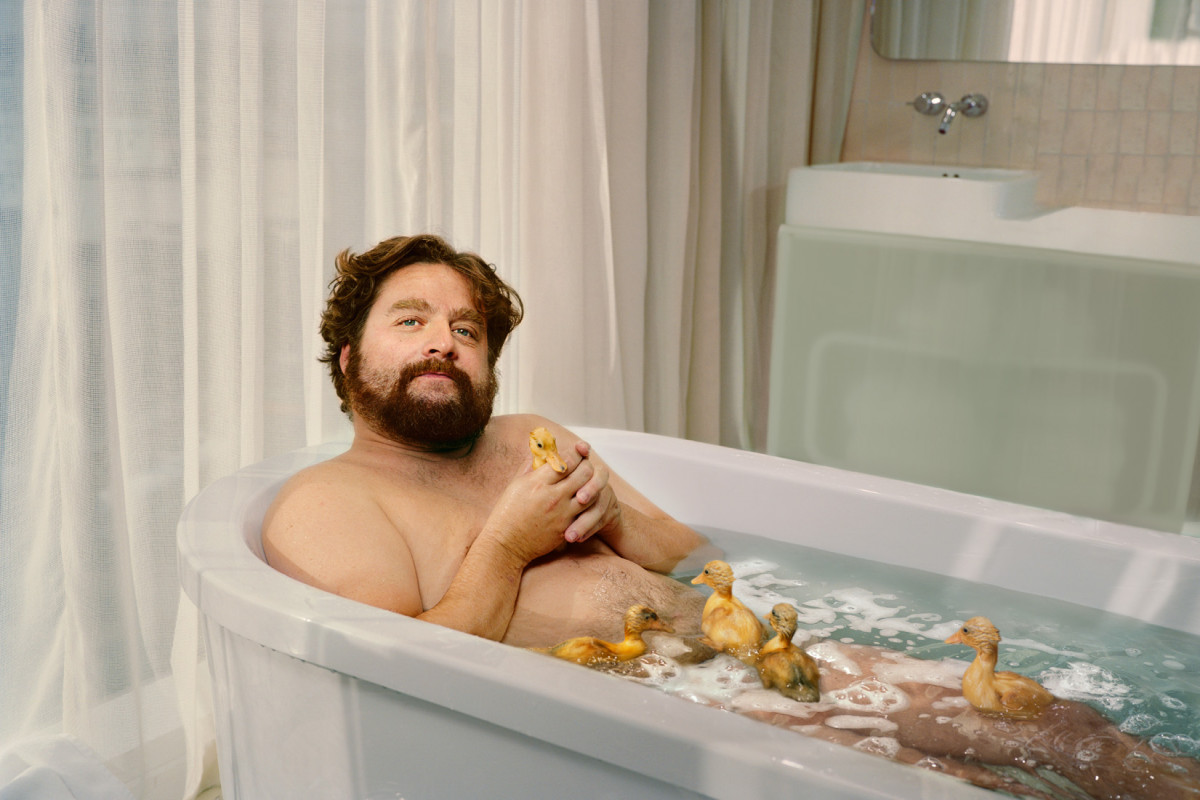 Zach Galifianakis Wallpapers