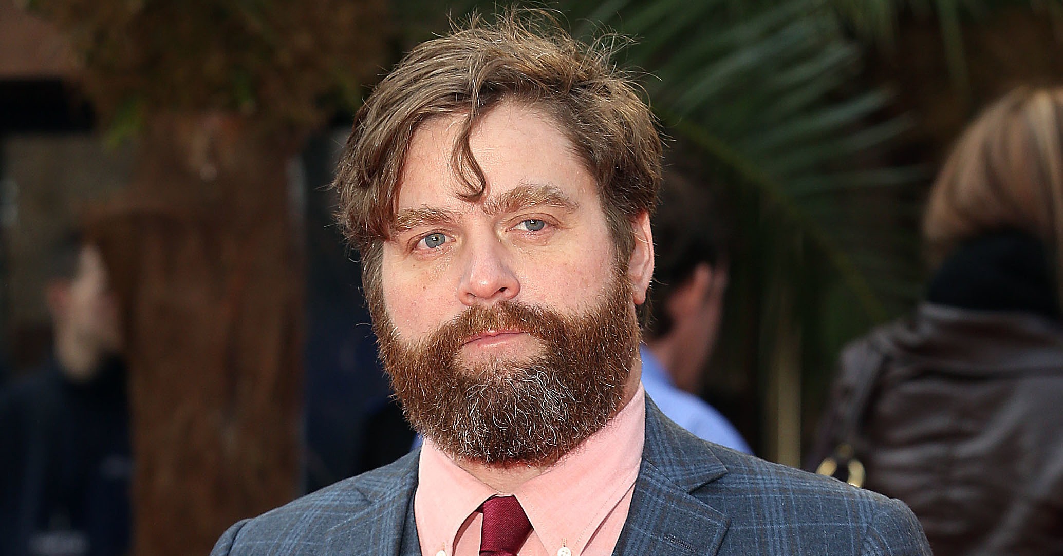 Zach Galifianakis Wallpapers