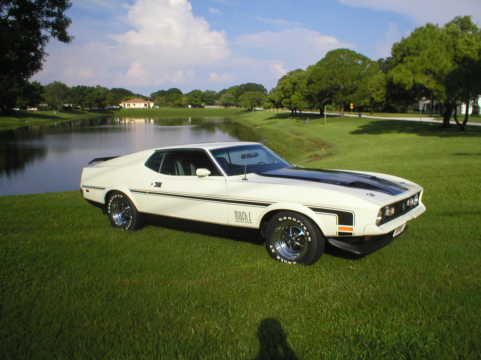 1971 Ford Mustang Boss 351 Wallpapers