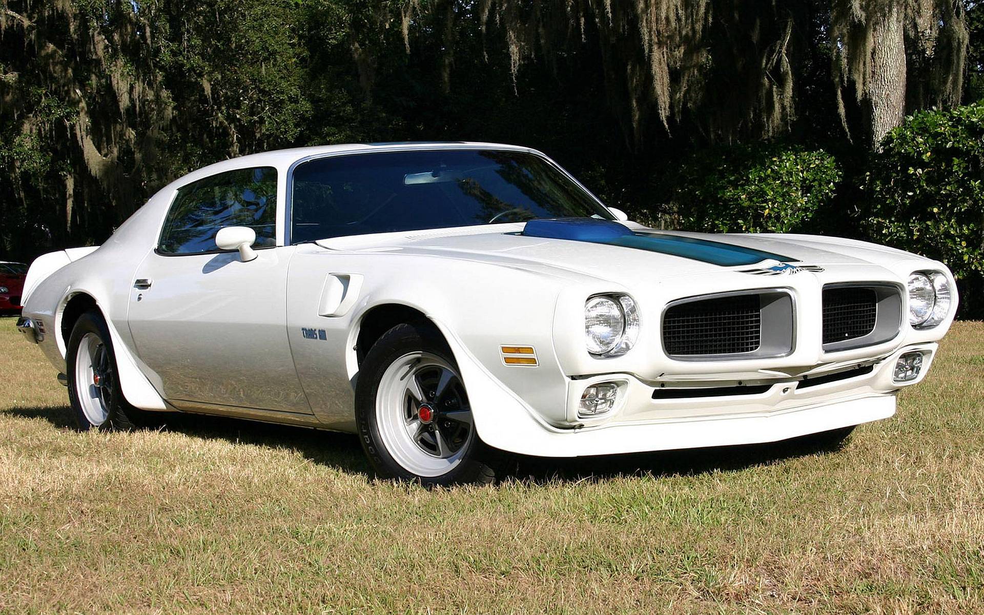 1973 Pontiac Trans Am Wallpapers