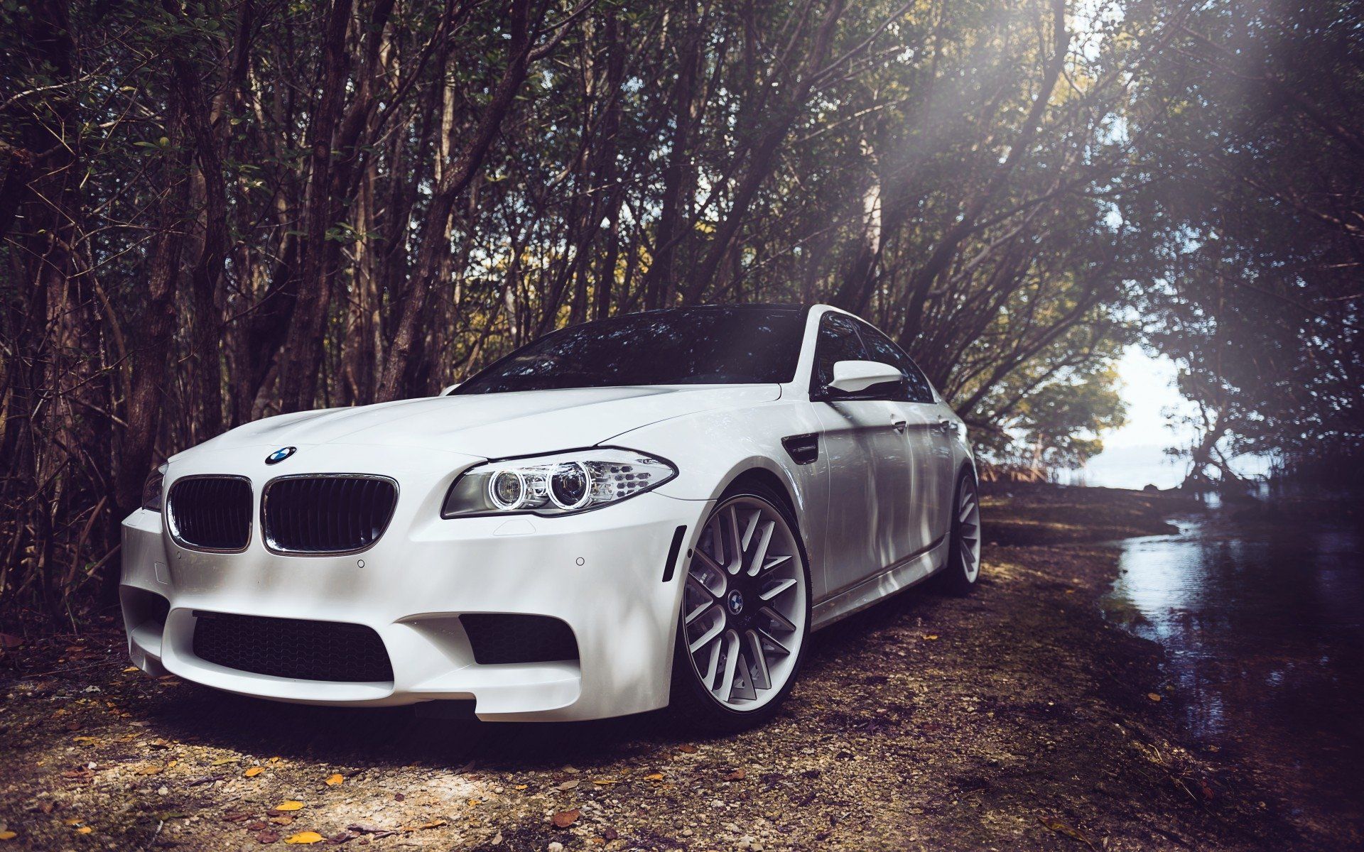 2012 Bmw M5 Wallpapers