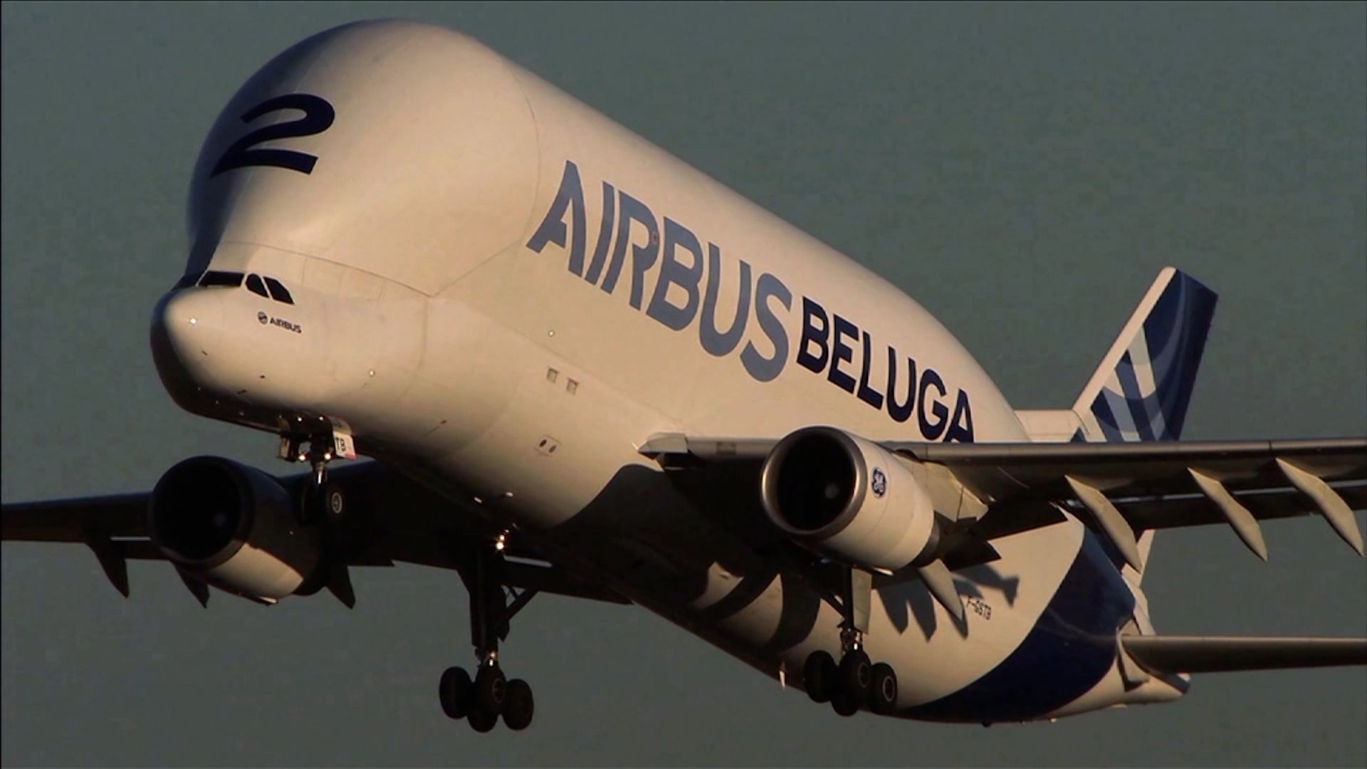 Airbus Beluga Wallpapers