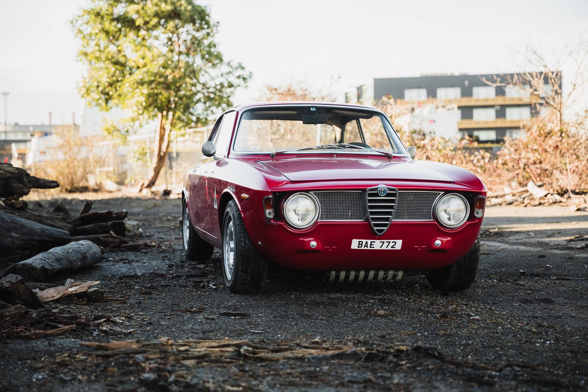 Alfa Romeo 1300 Sprint Wallpapers