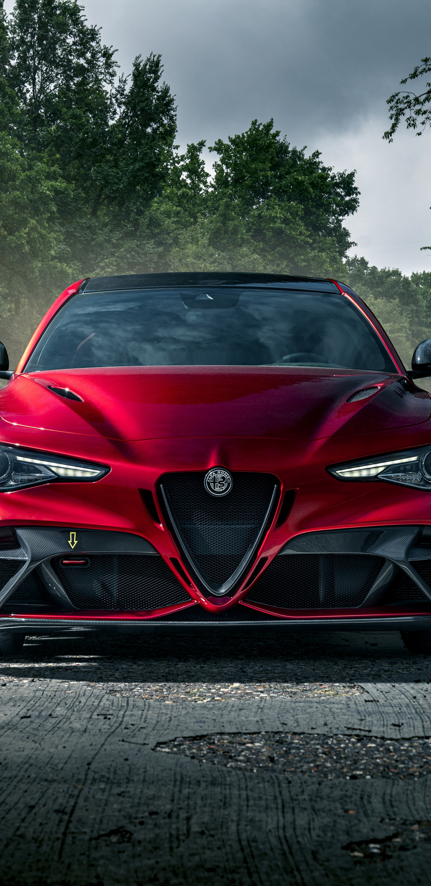 Alfa Romeo P2 Wallpapers