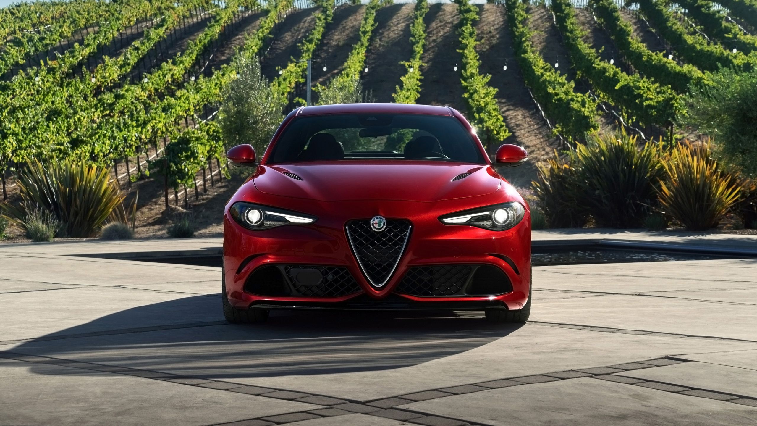 Alfa Romeo P2 Wallpapers