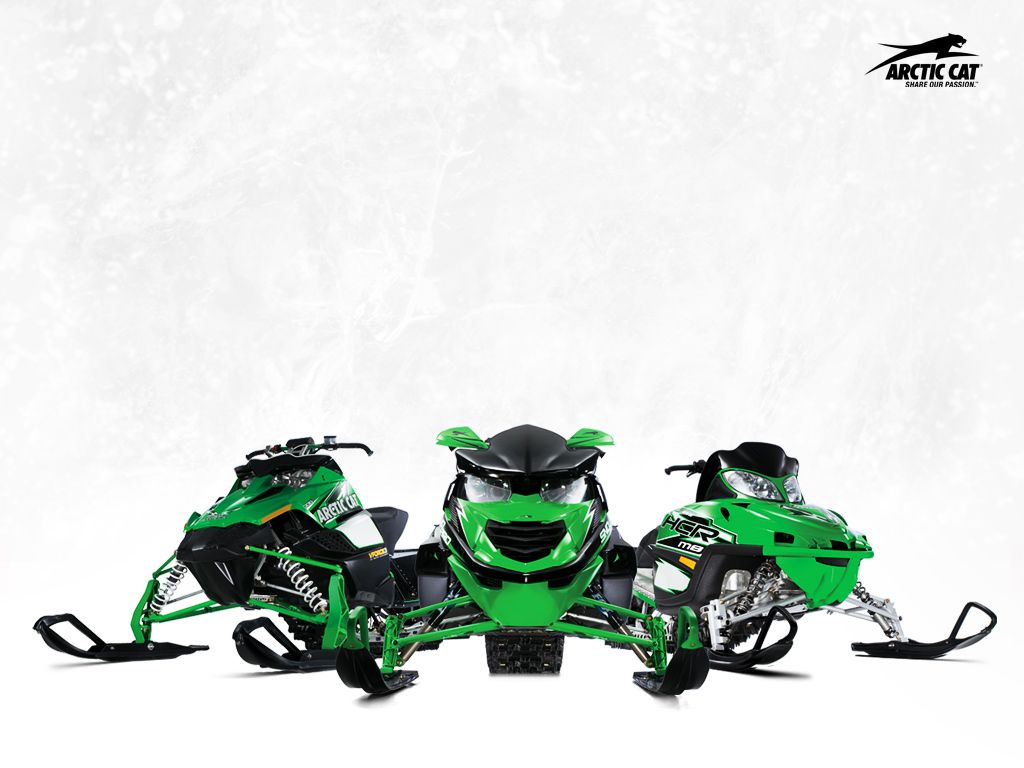 Arctic Cat Wallpapers